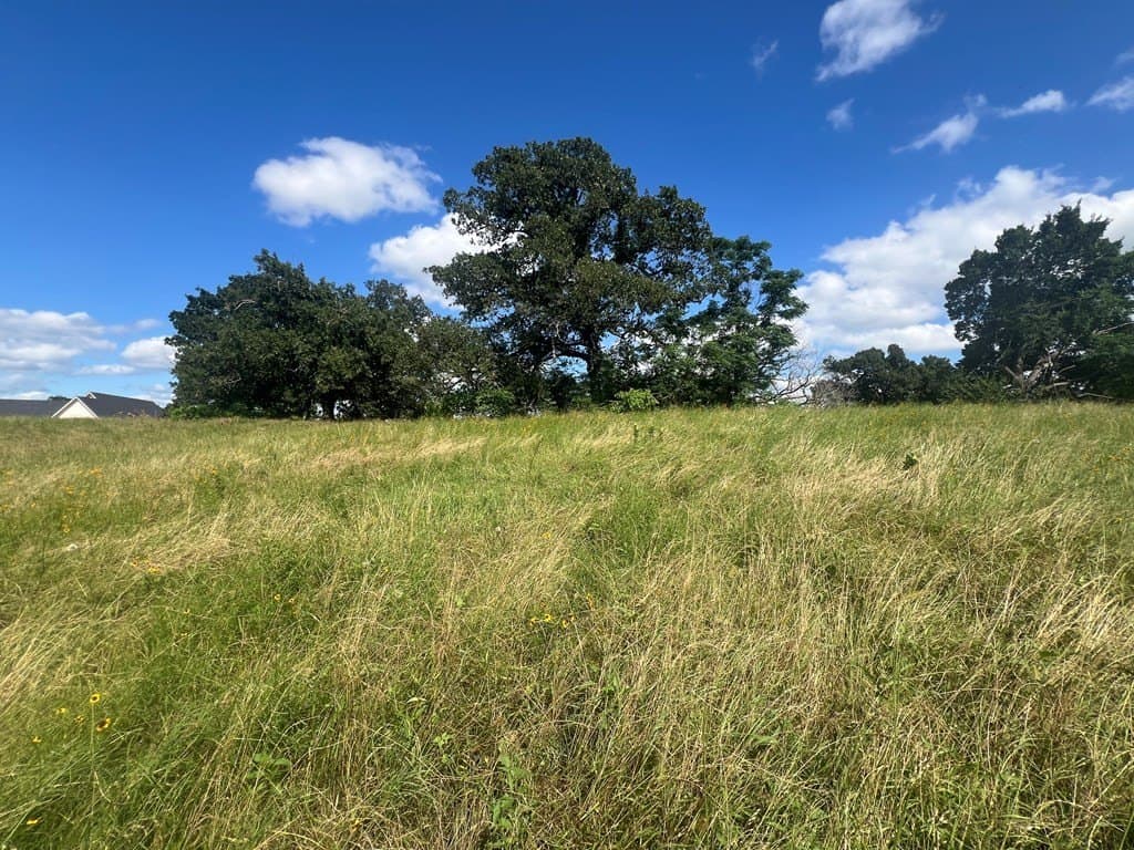 1.01 acres in Henderson County - photo 6