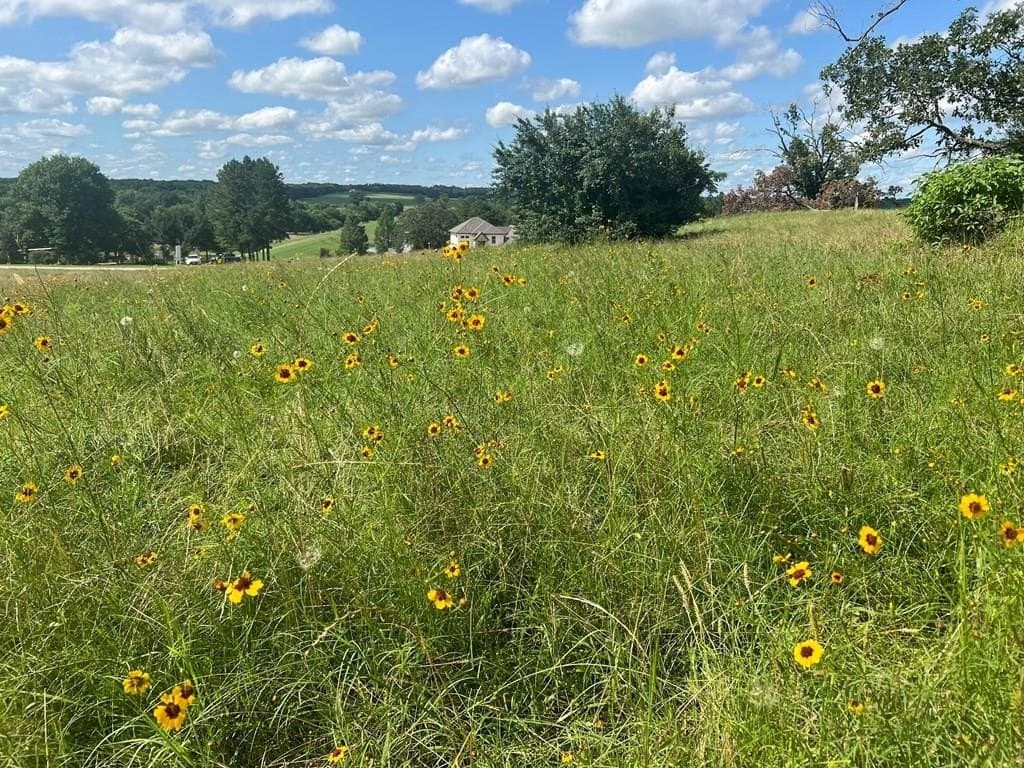 1.01 acres in Henderson County - photo 20