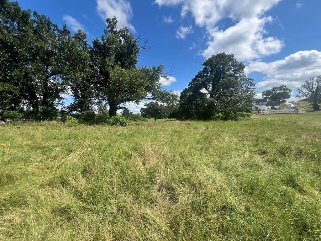 1.01 acres in Henderson County - photo 9