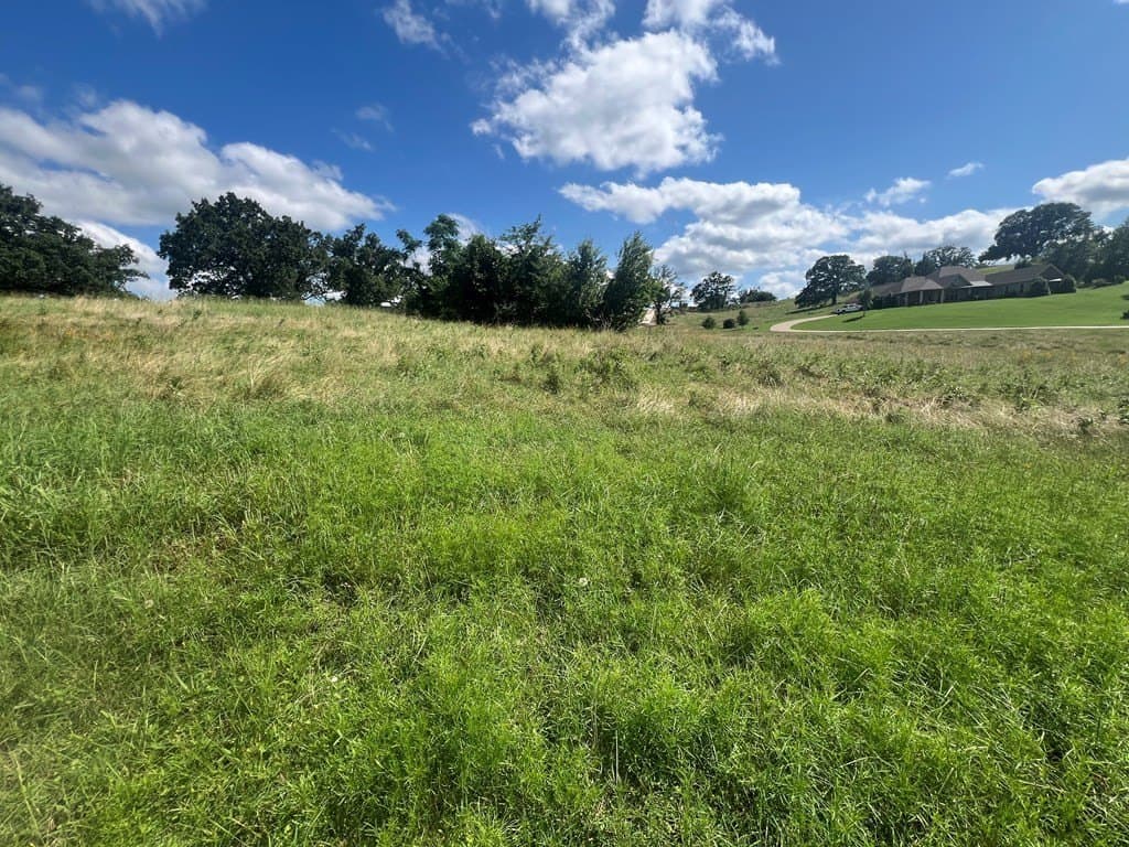 1.01 acres in Henderson County - photo 8