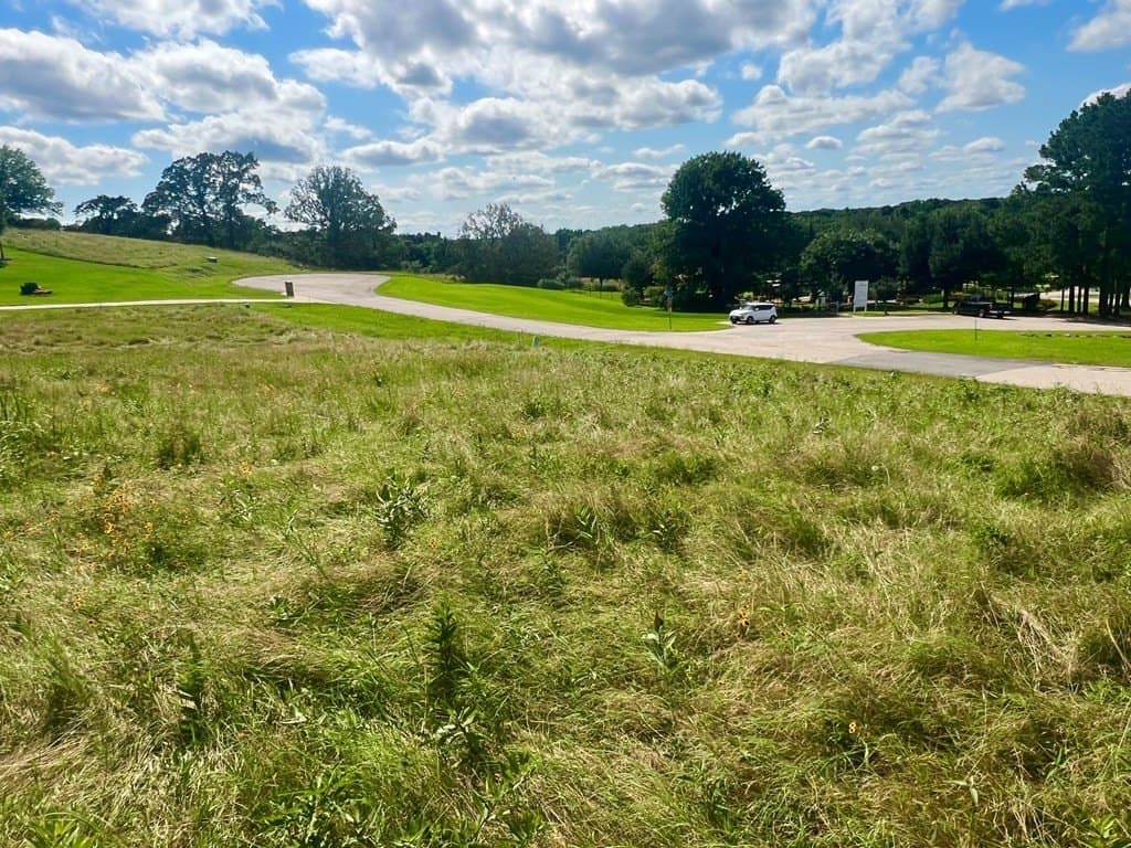 1.01 acres in Henderson County - photo 13