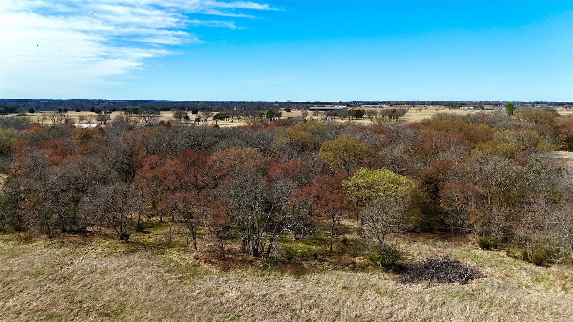 39.4 acres in Grayson County featured view