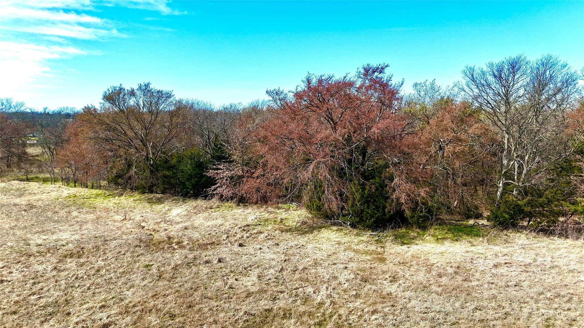 39.4 acres in Grayson County gallery image 3