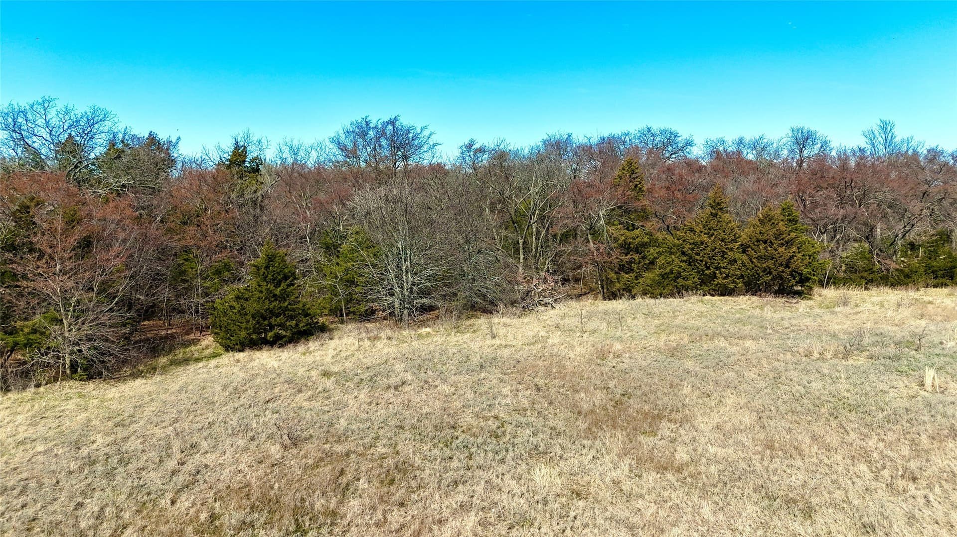 39.4 acres in Grayson County gallery image 4