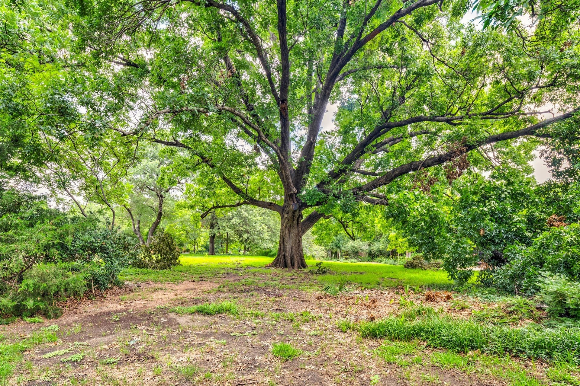 0.99 acres in Dallas County - photo 22