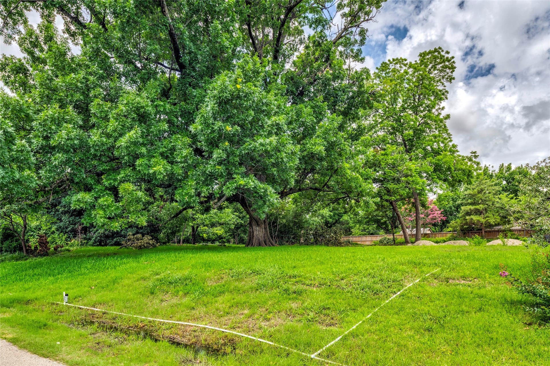 0.99 acres in Dallas County - photo 19