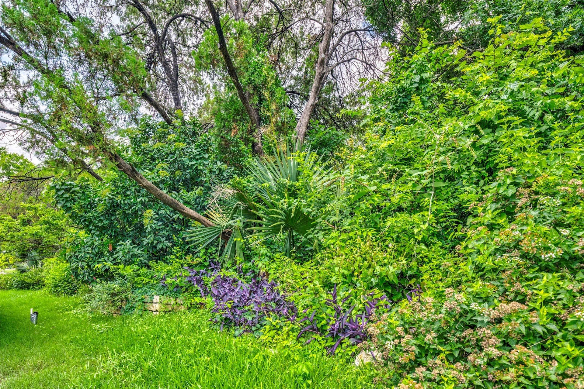 0.99 acres in Dallas County - photo 30