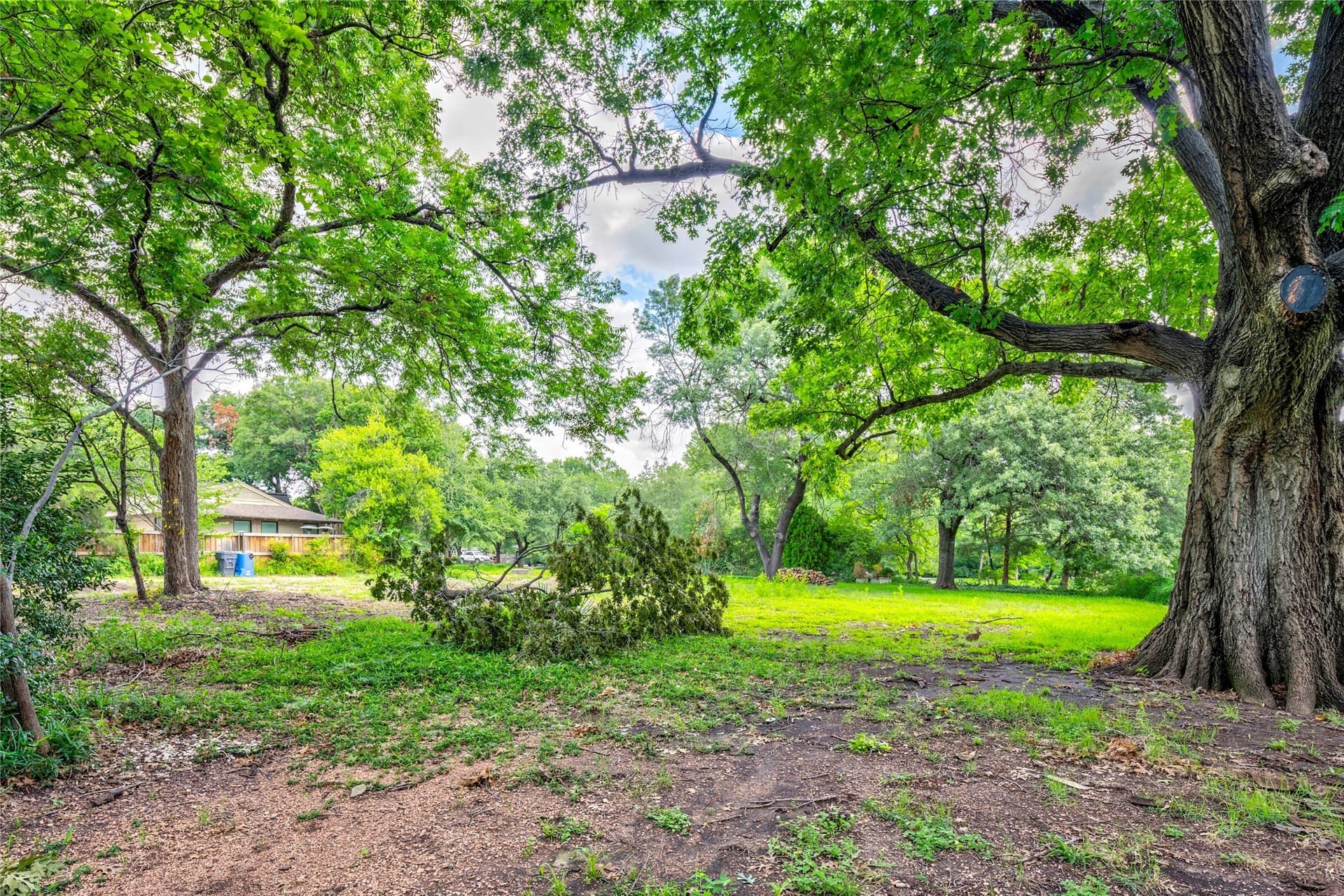 0.99 acres in Dallas County - photo 24