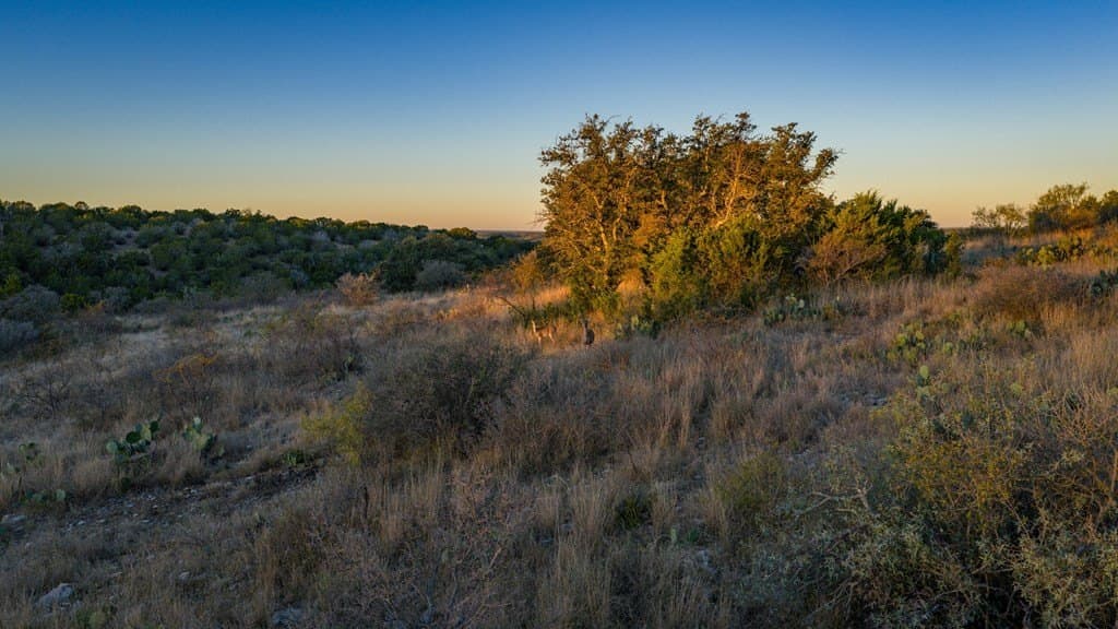 35 acres in Mason County - photo 6