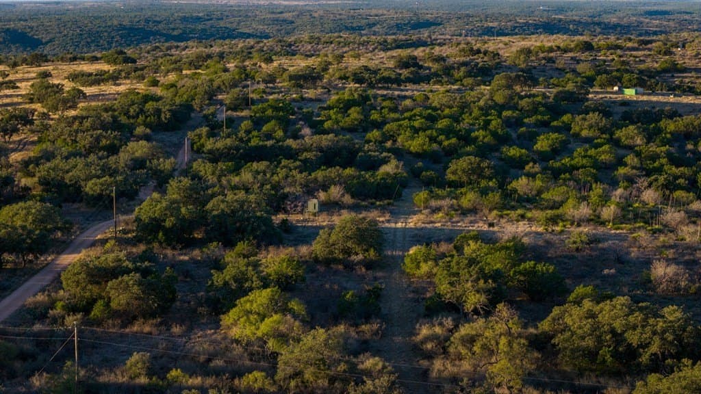 35 acres in Mason County - photo 9