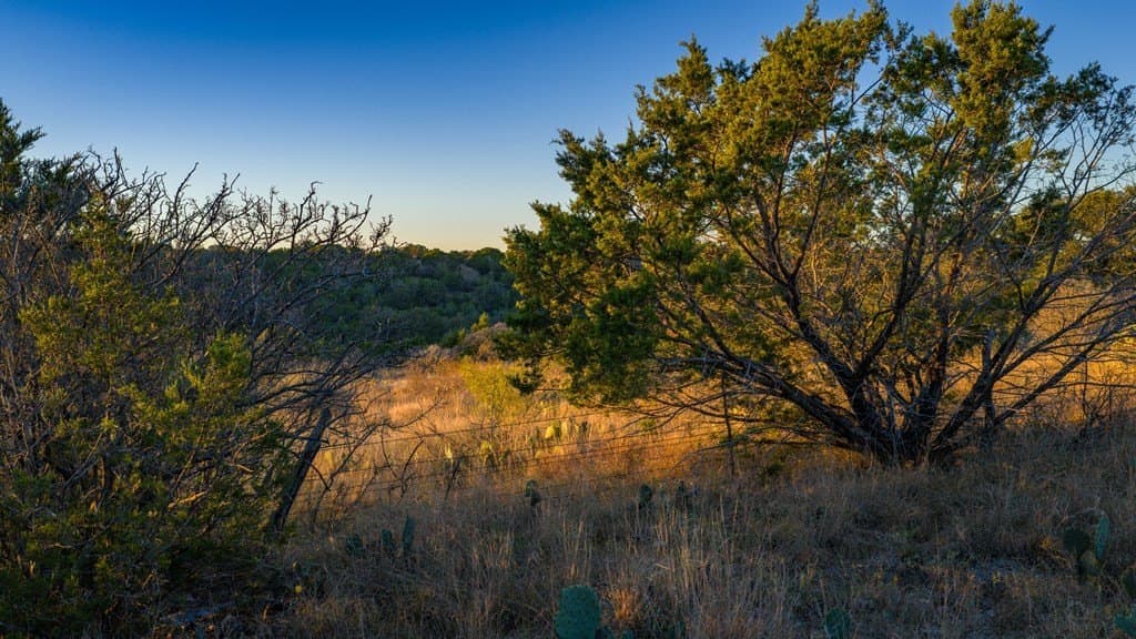 35 acres in Mason County featured view
