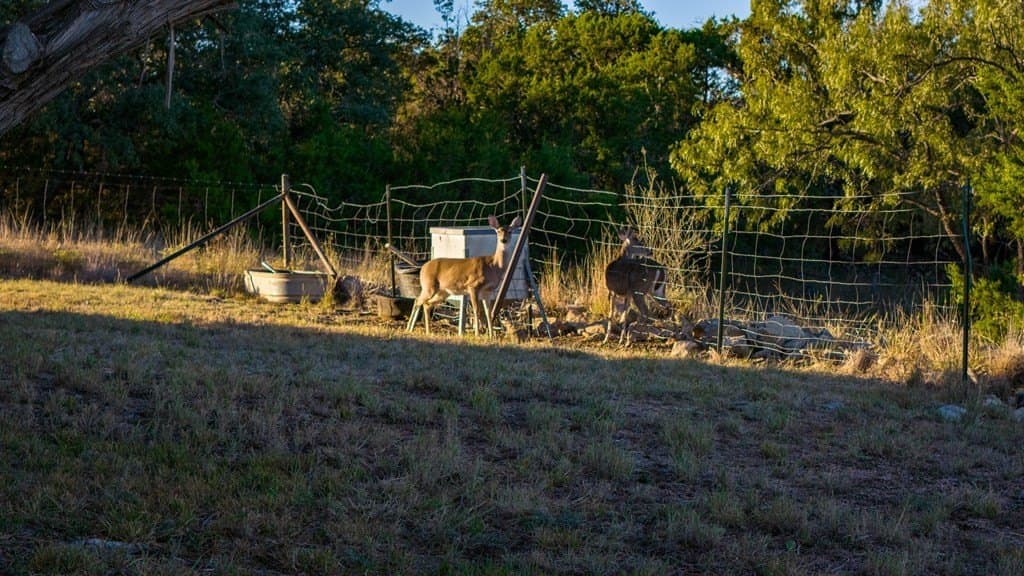 35 acres in Mason County - photo 8