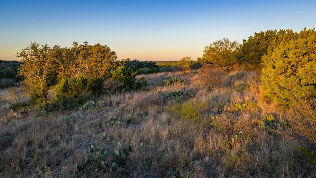 35 acres in Mason County - photo 7