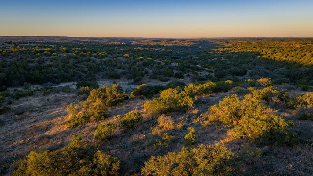 35 acres in Mason County gallery image 3