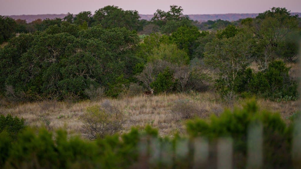 35 acres in Mason County - photo 14