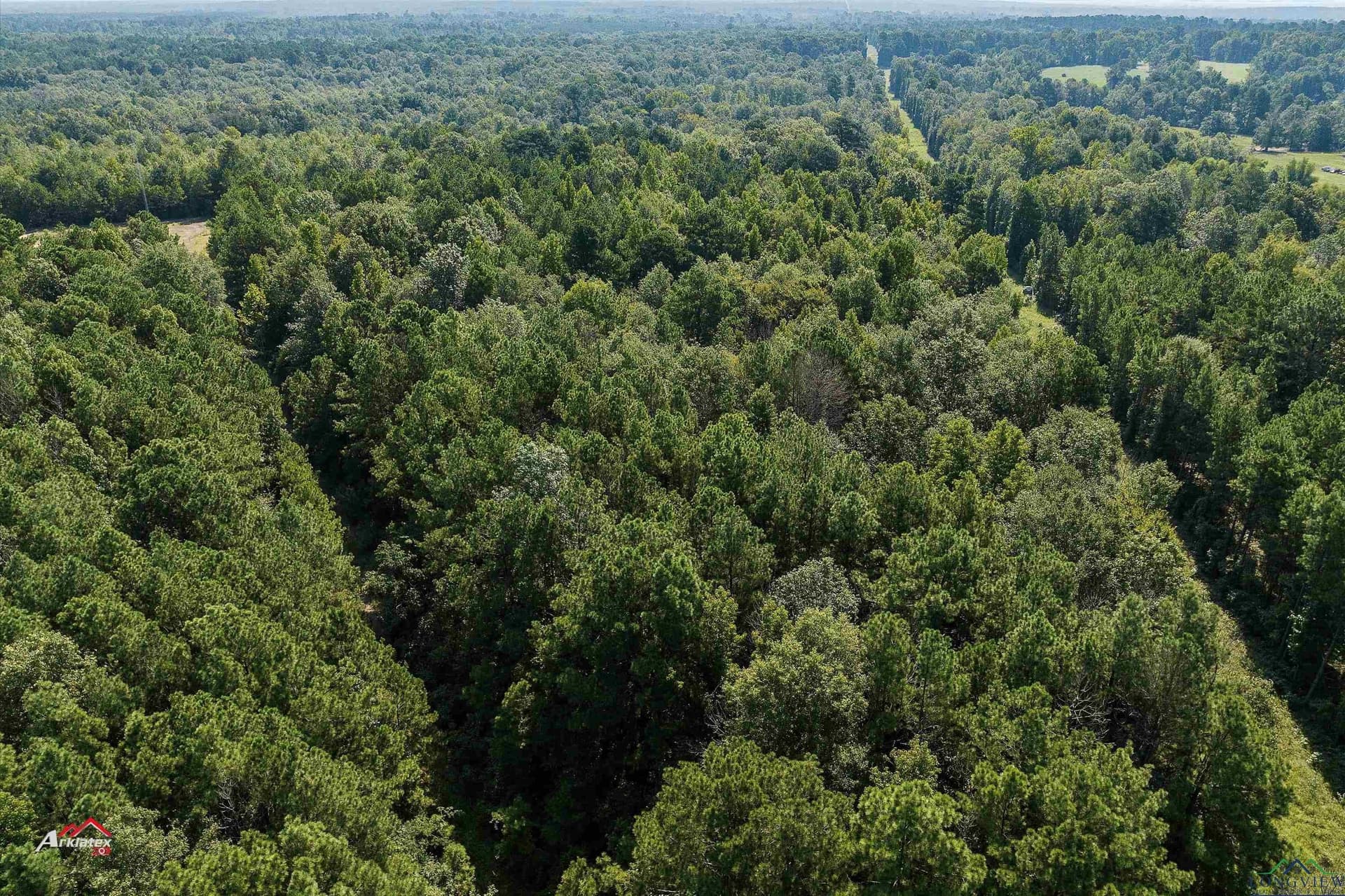 19.5 acres in Texas County gallery image 4