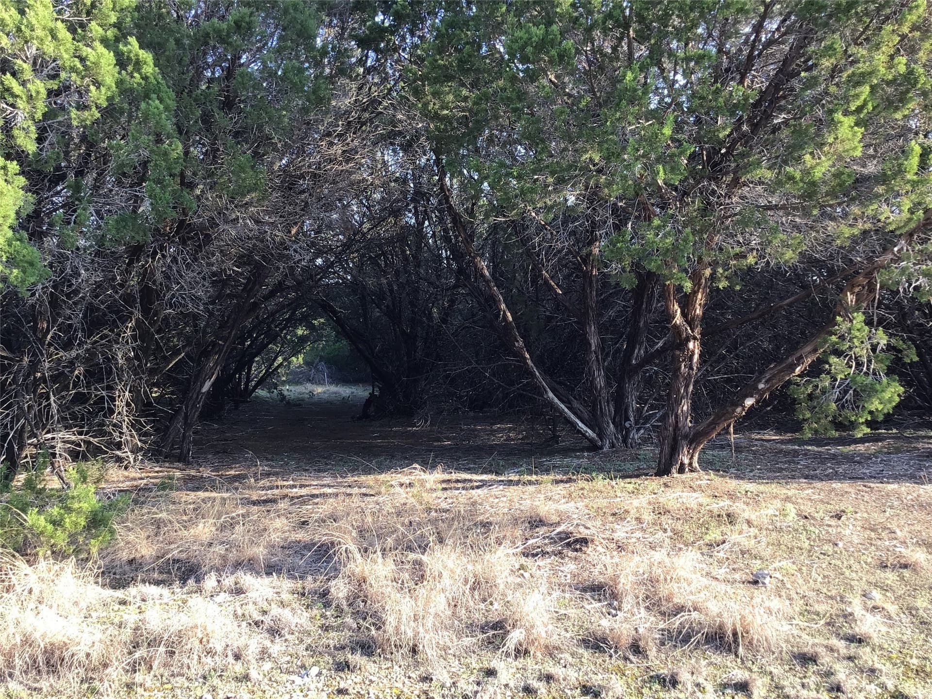 0.17 acres in Hill County - photo 11