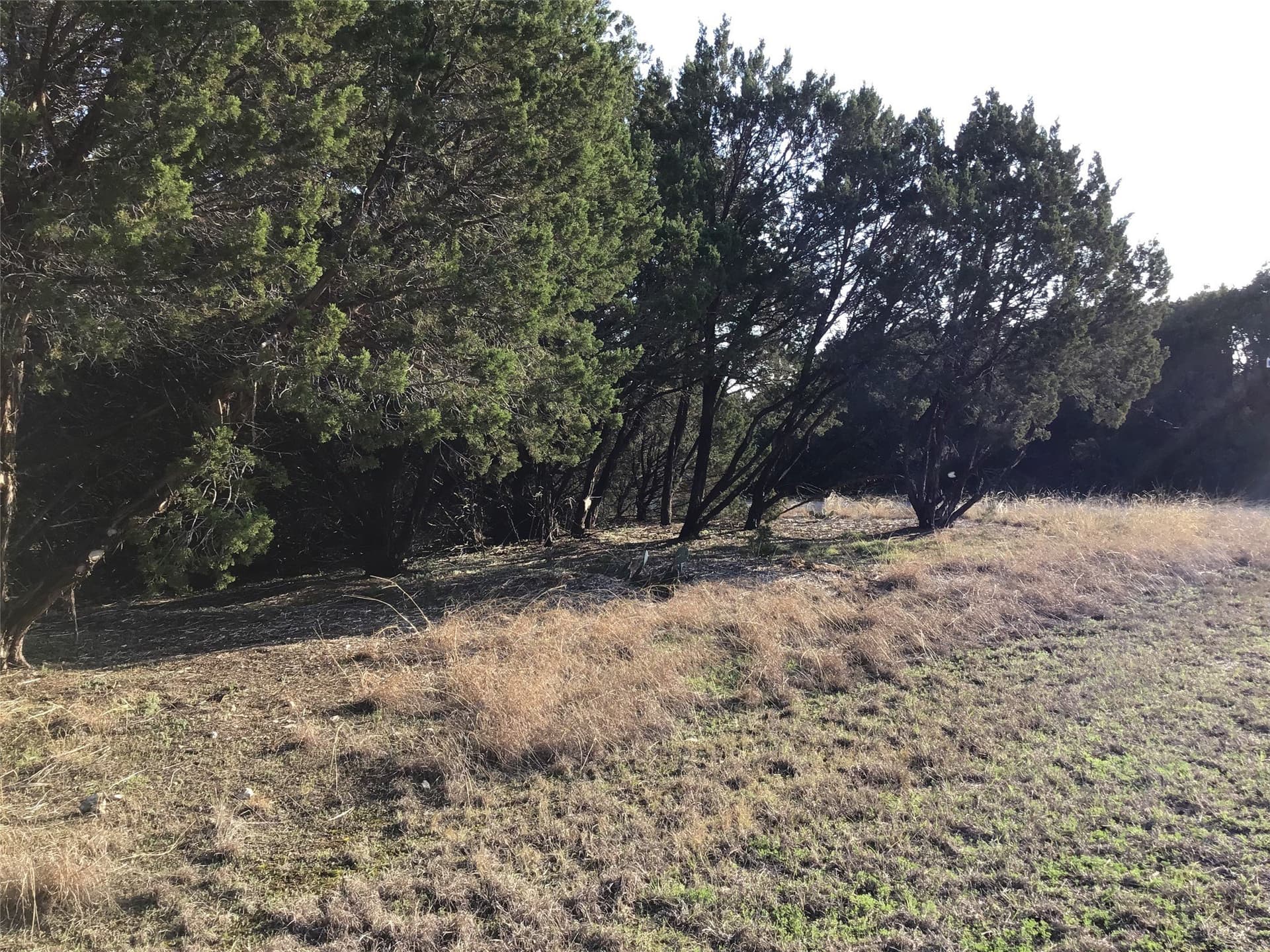 0.17 acres in Hill County - photo 12