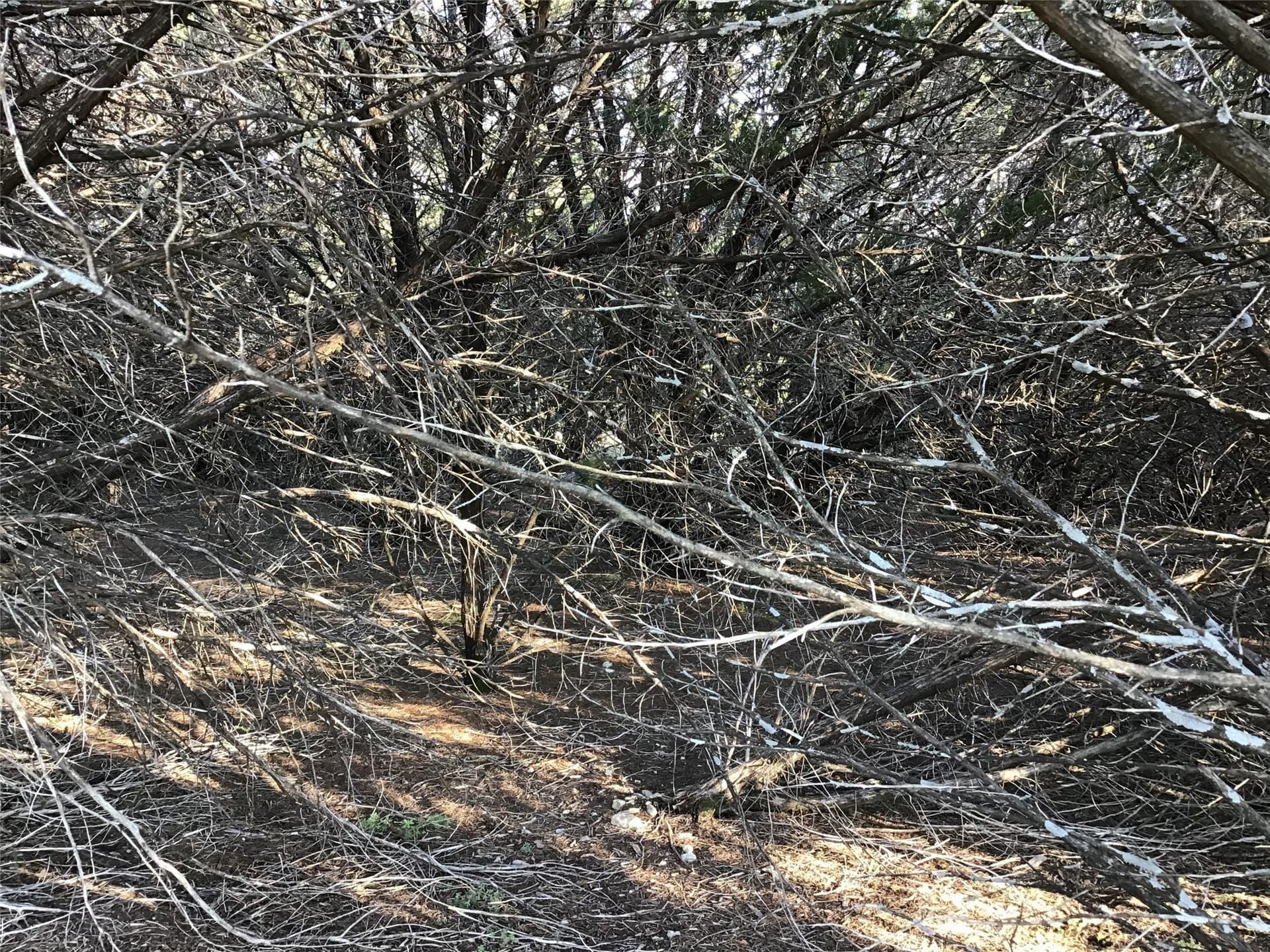 0.17 acres in Hill County - photo 7
