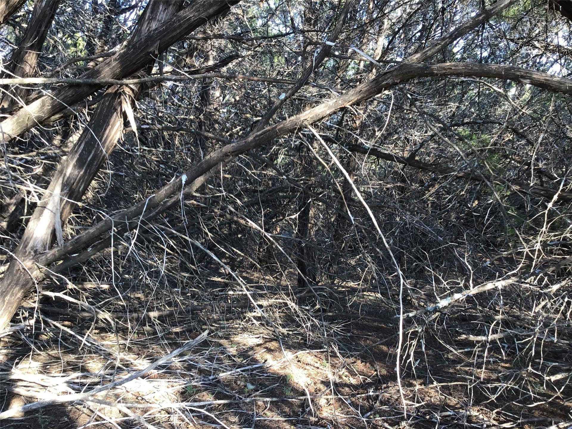 0.17 acres in Hill County - photo 6