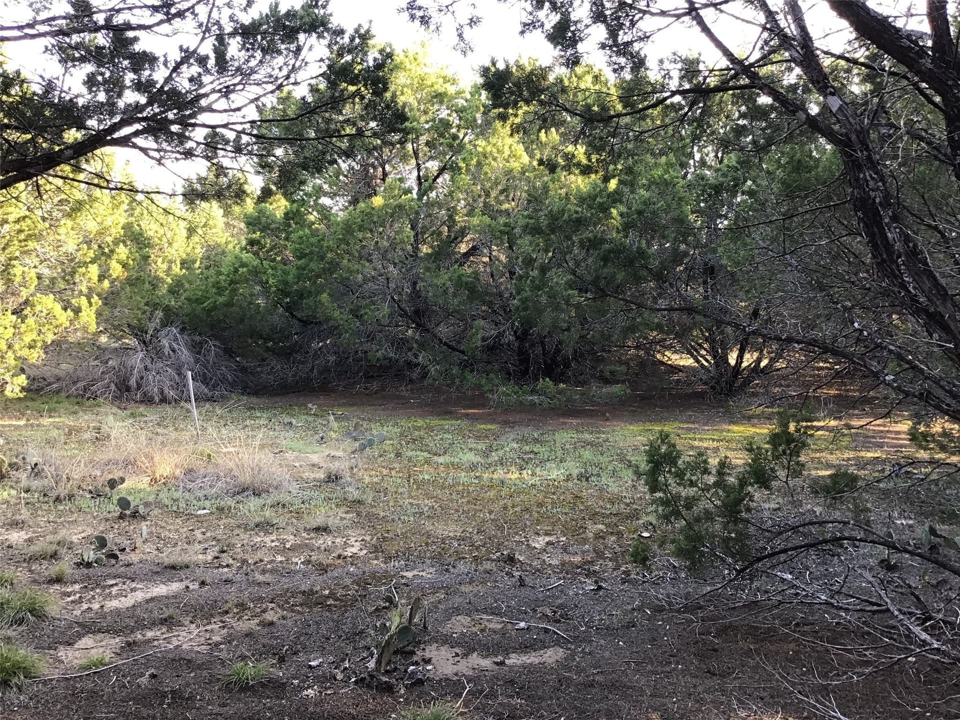 0.17 acres in Hill County - photo 10