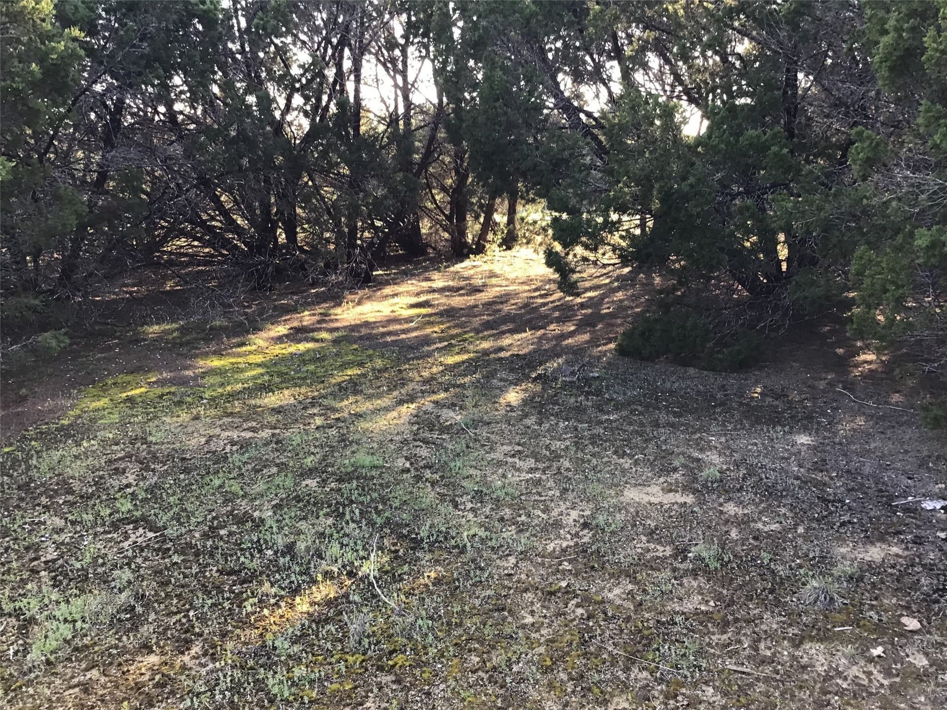 0.17 acres in Hill County - photo 8
