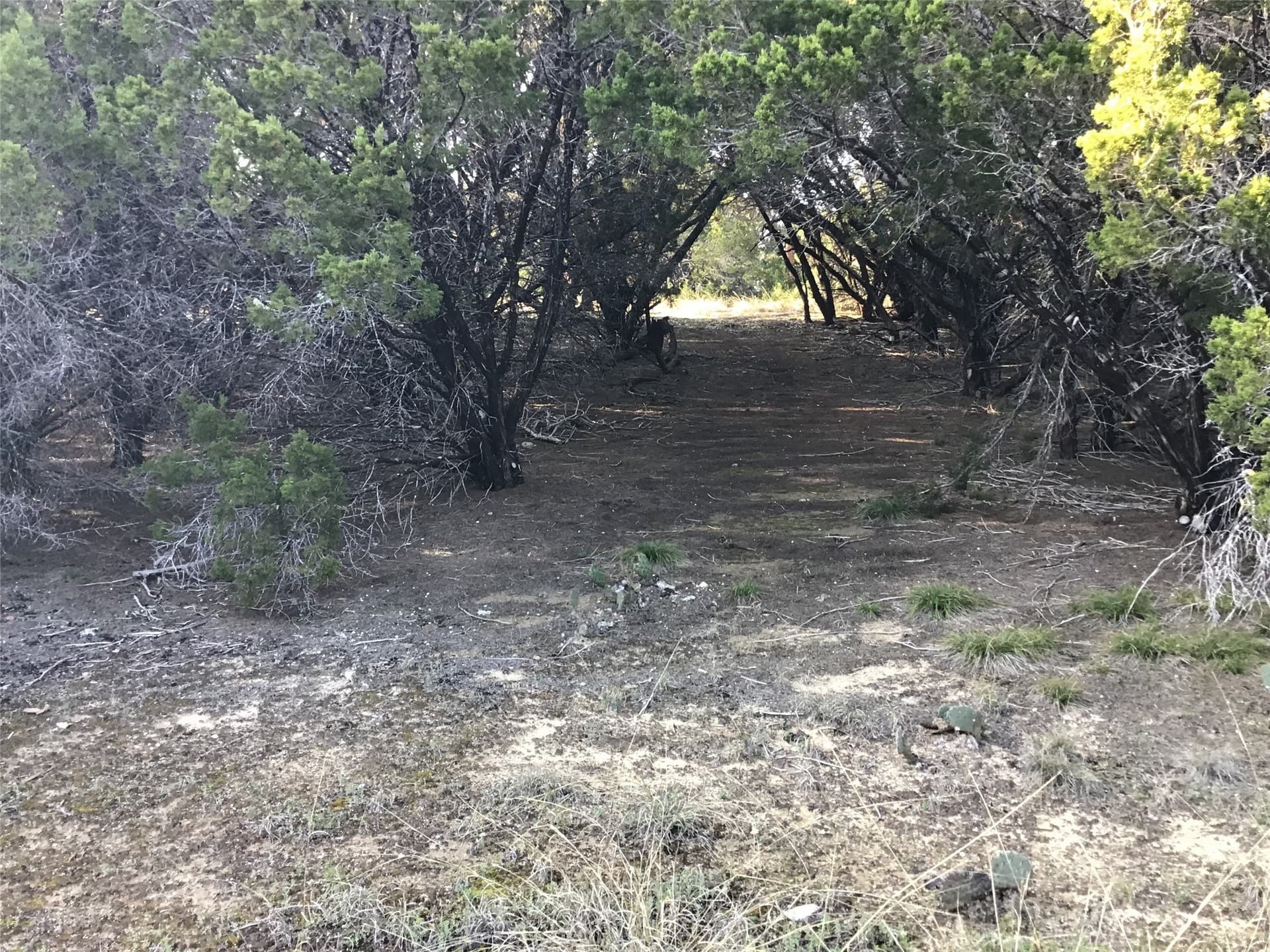 0.17 acres in Hill County - photo 9
