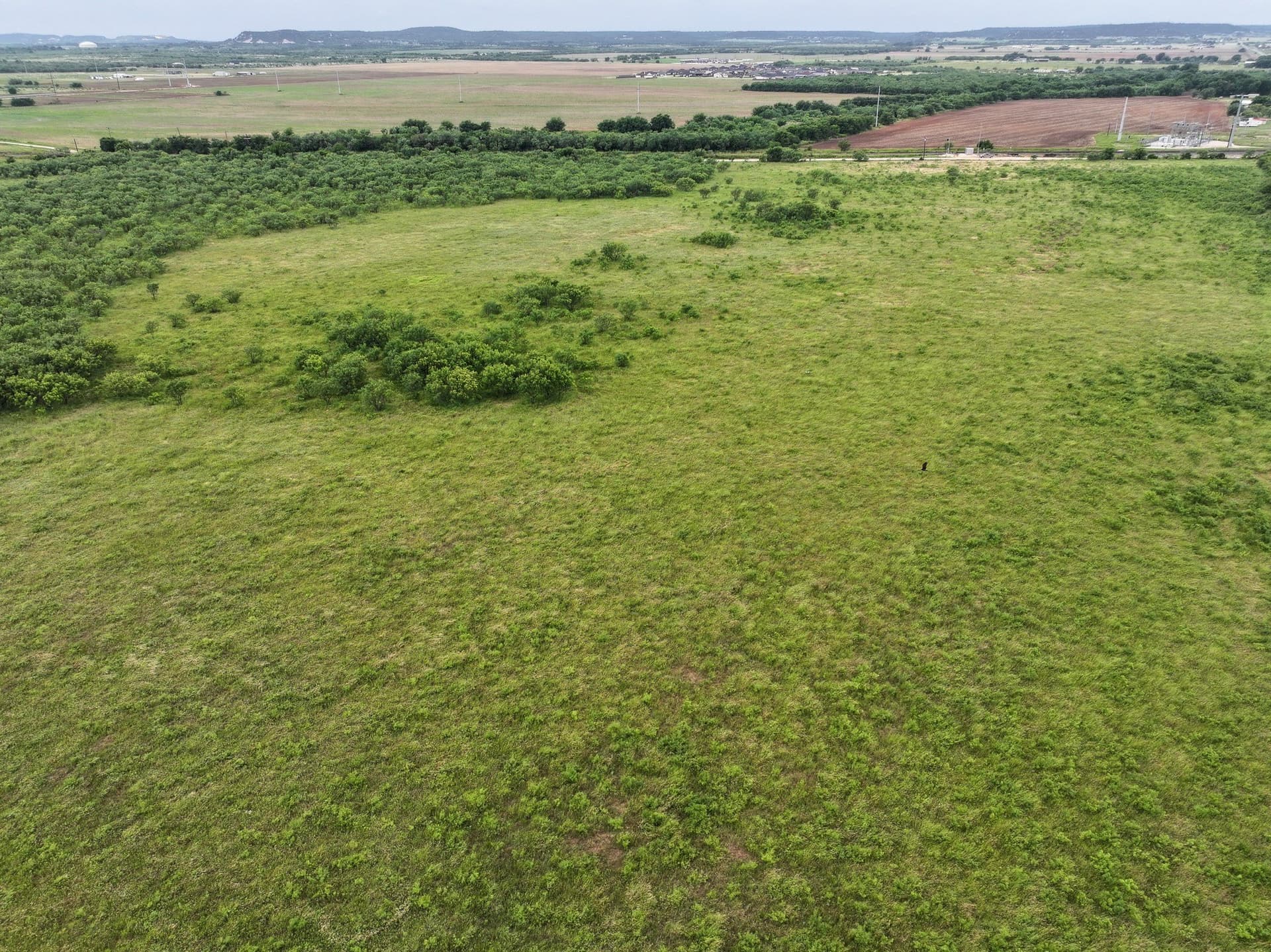 1.87 acres in Taylor County - photo 5