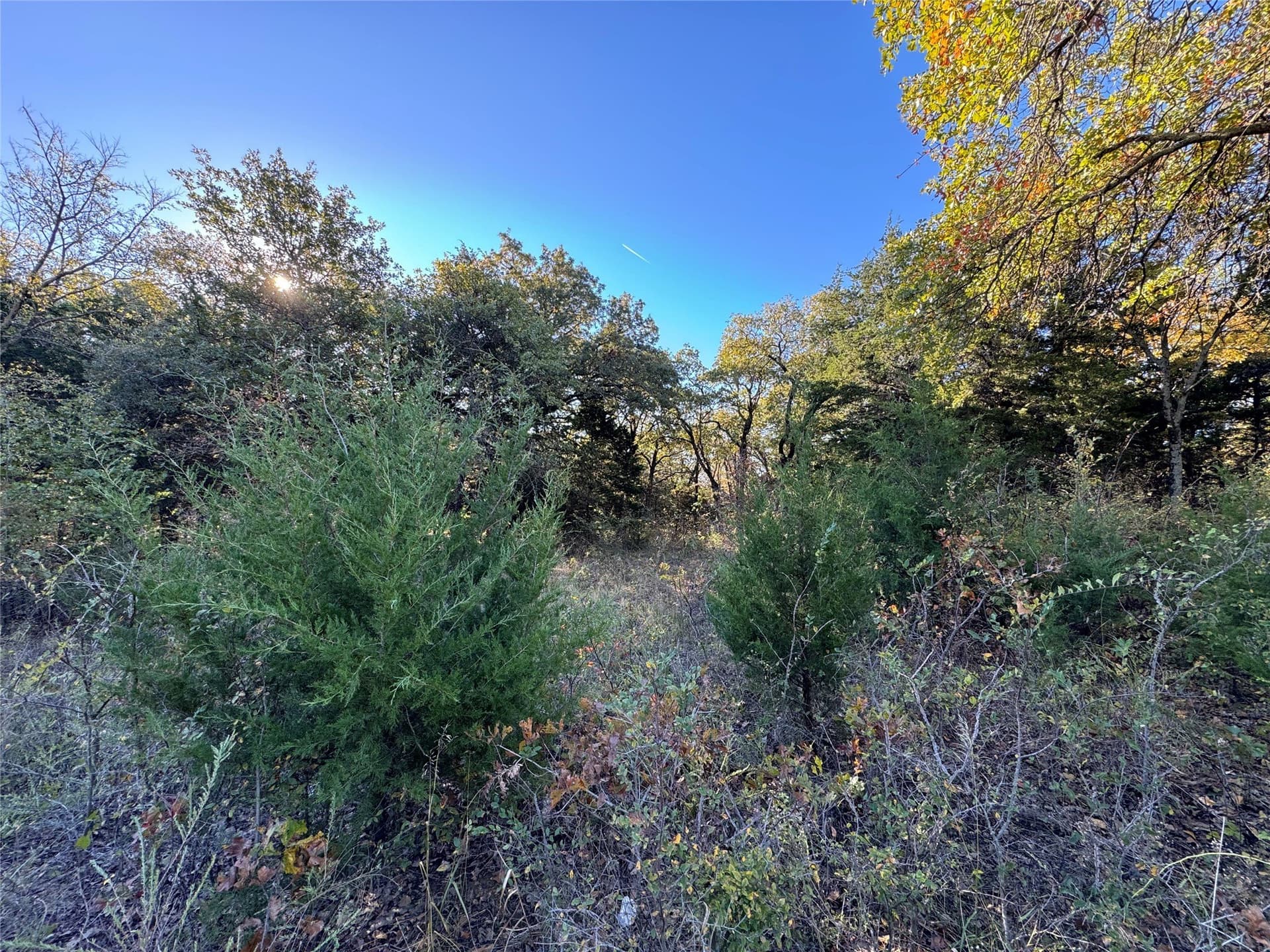 2.35 acres in Cooke County featured view