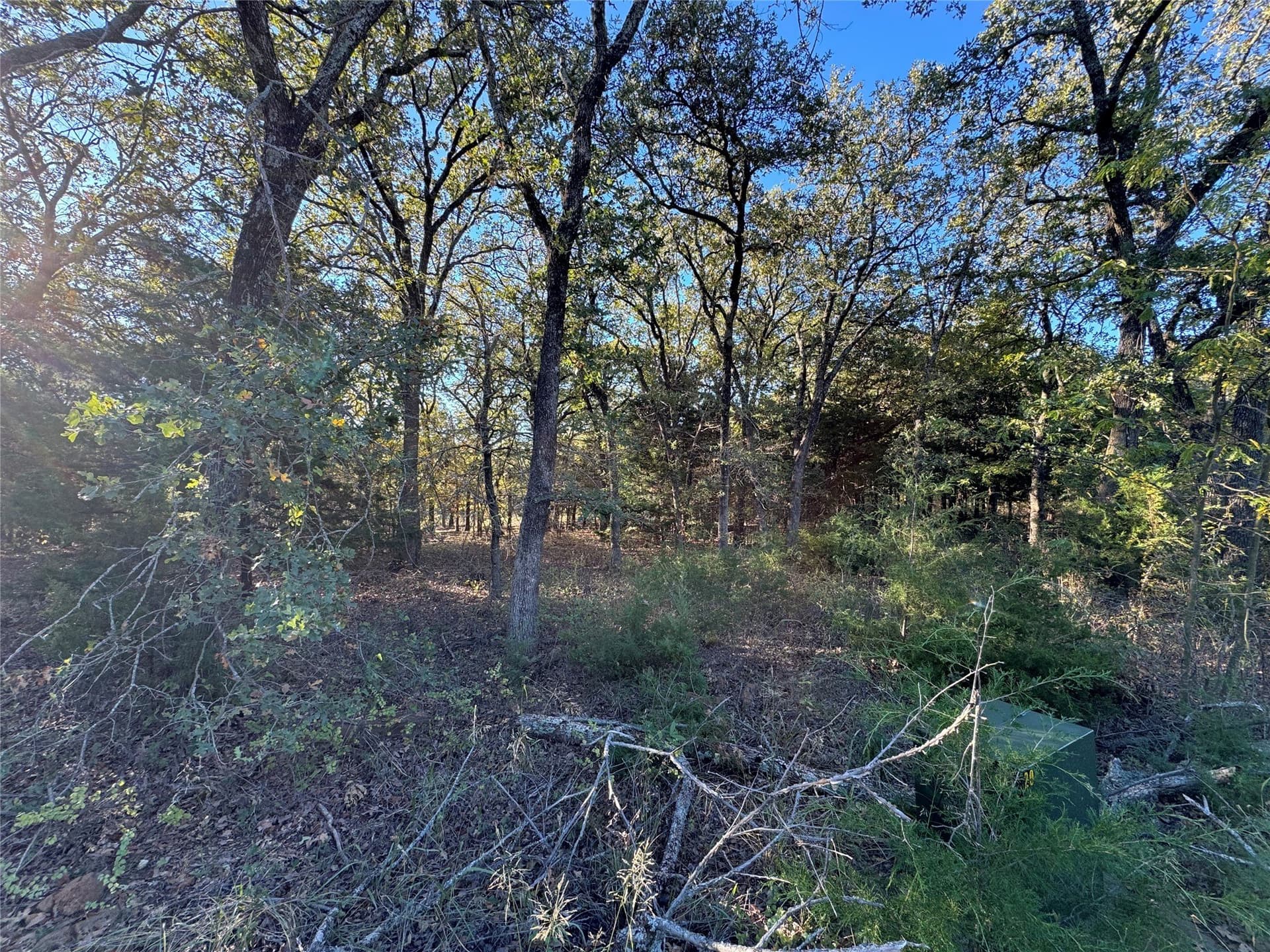 2.35 acres in Cooke County gallery image 3
