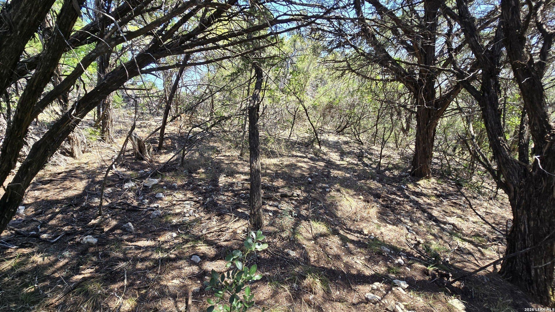 1.36 acres in Bandera County - photo 17