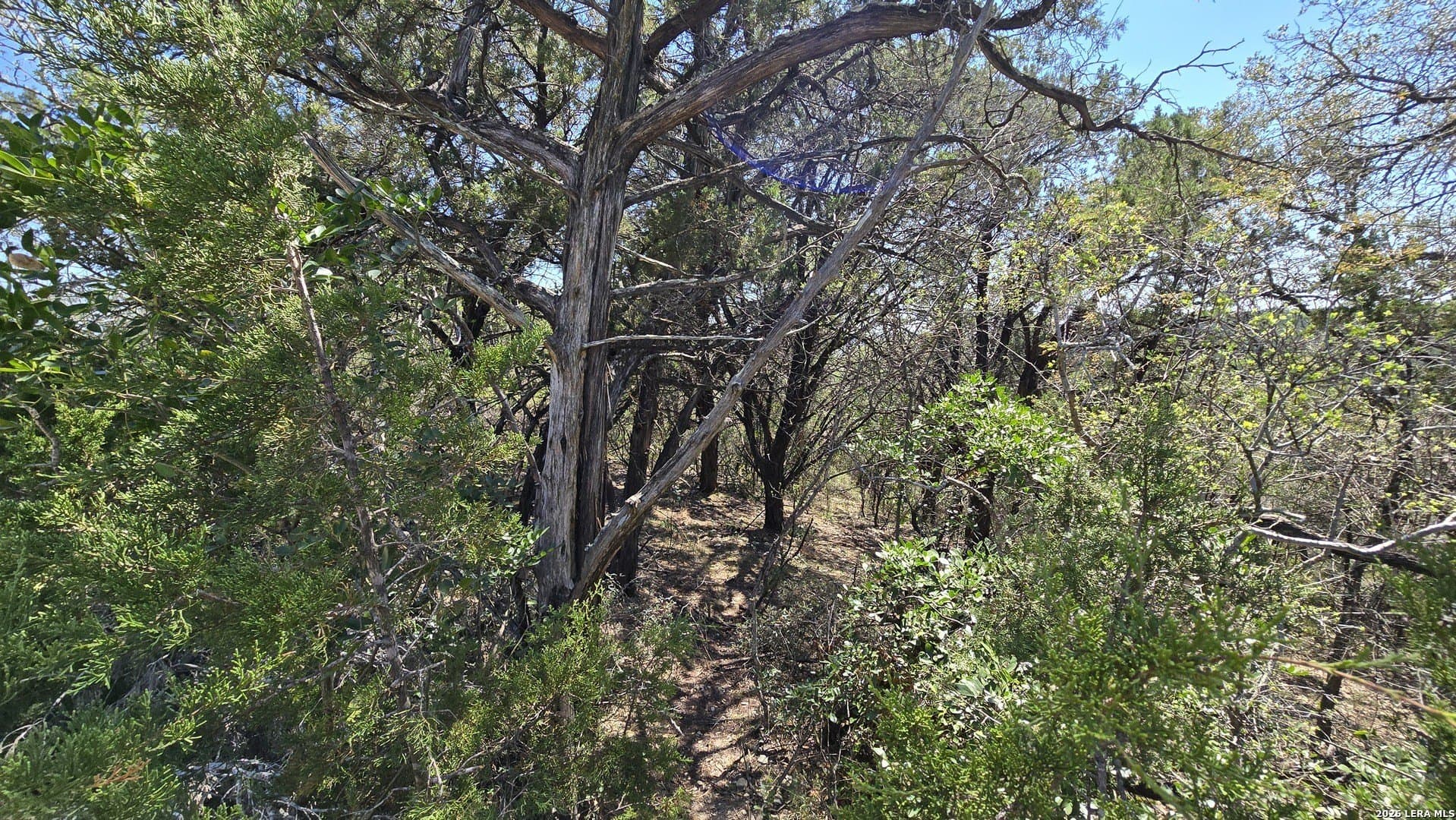 1.36 acres in Bandera County - photo 16