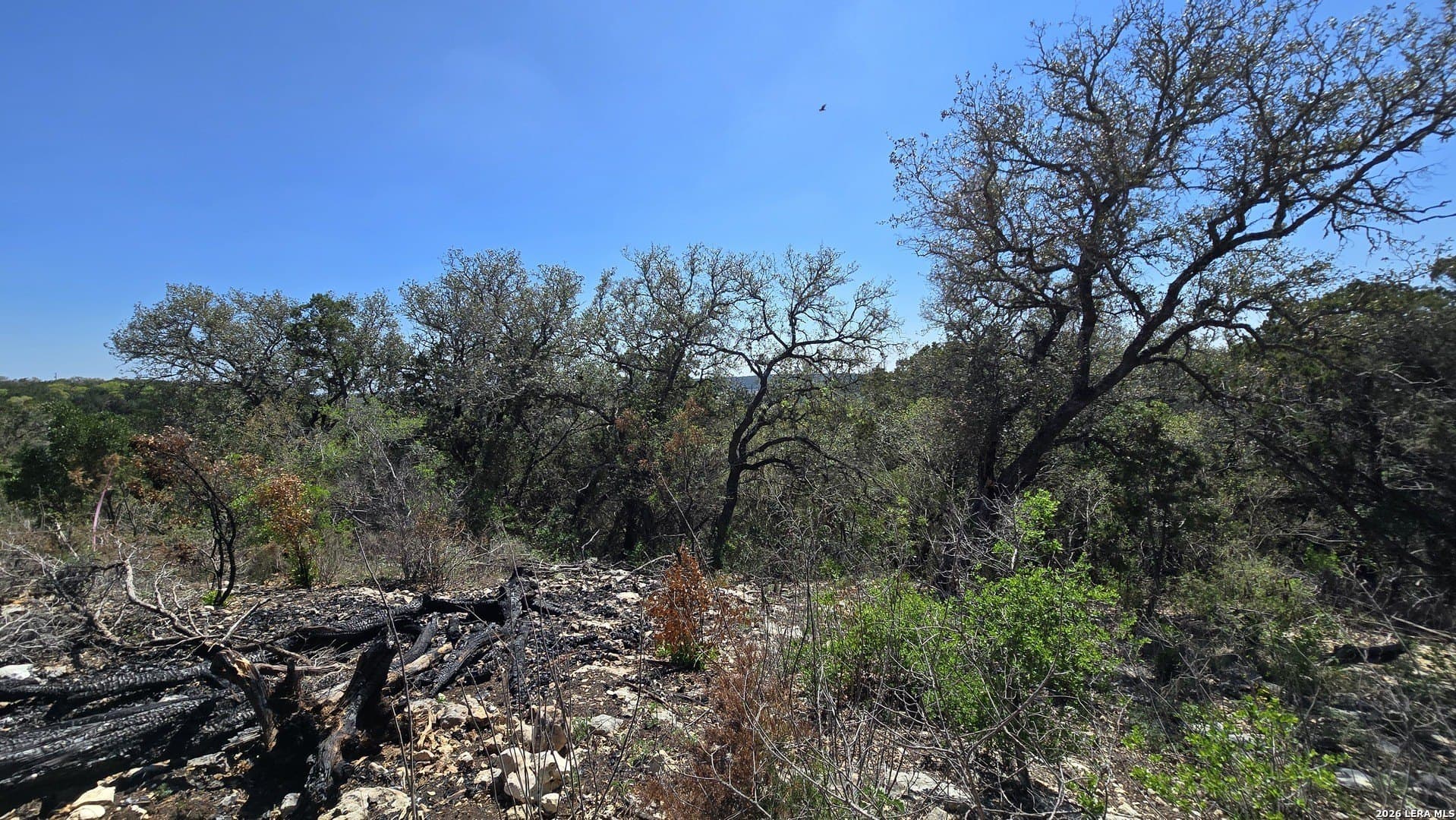 1.36 acres in Bandera County - photo 7