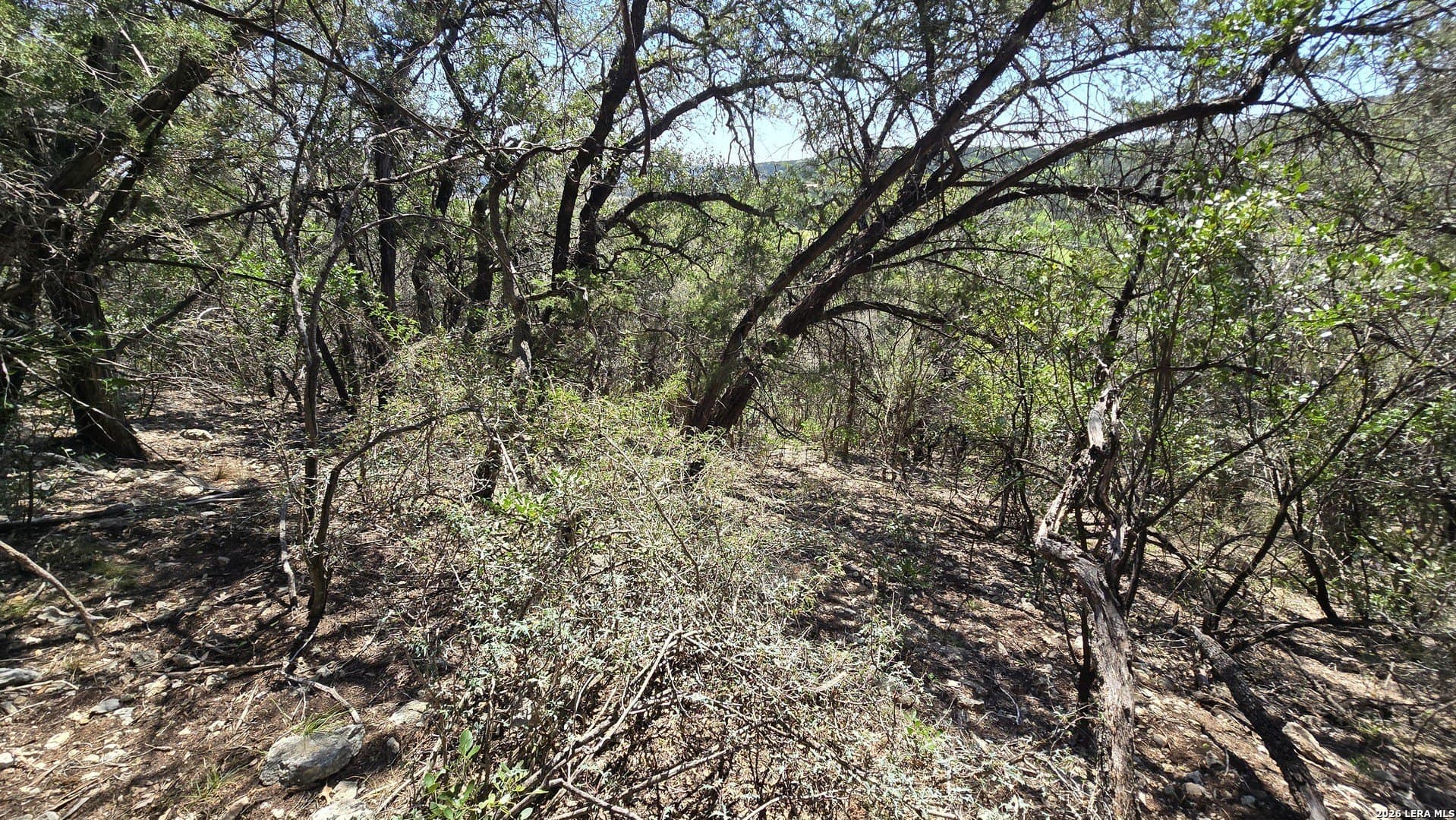 1.36 acres in Bandera County gallery image 4