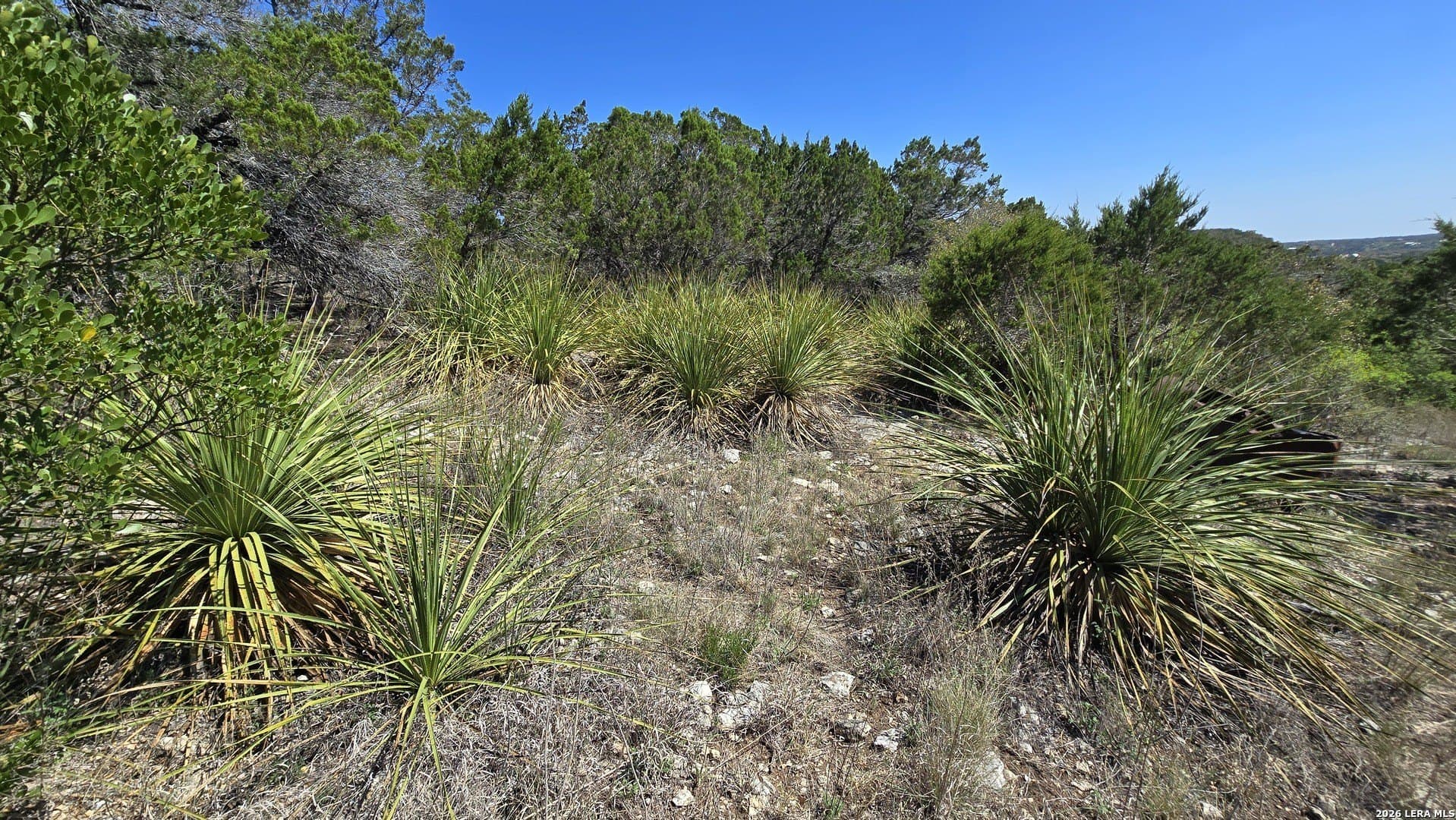 1.36 acres in Bandera County - photo 9