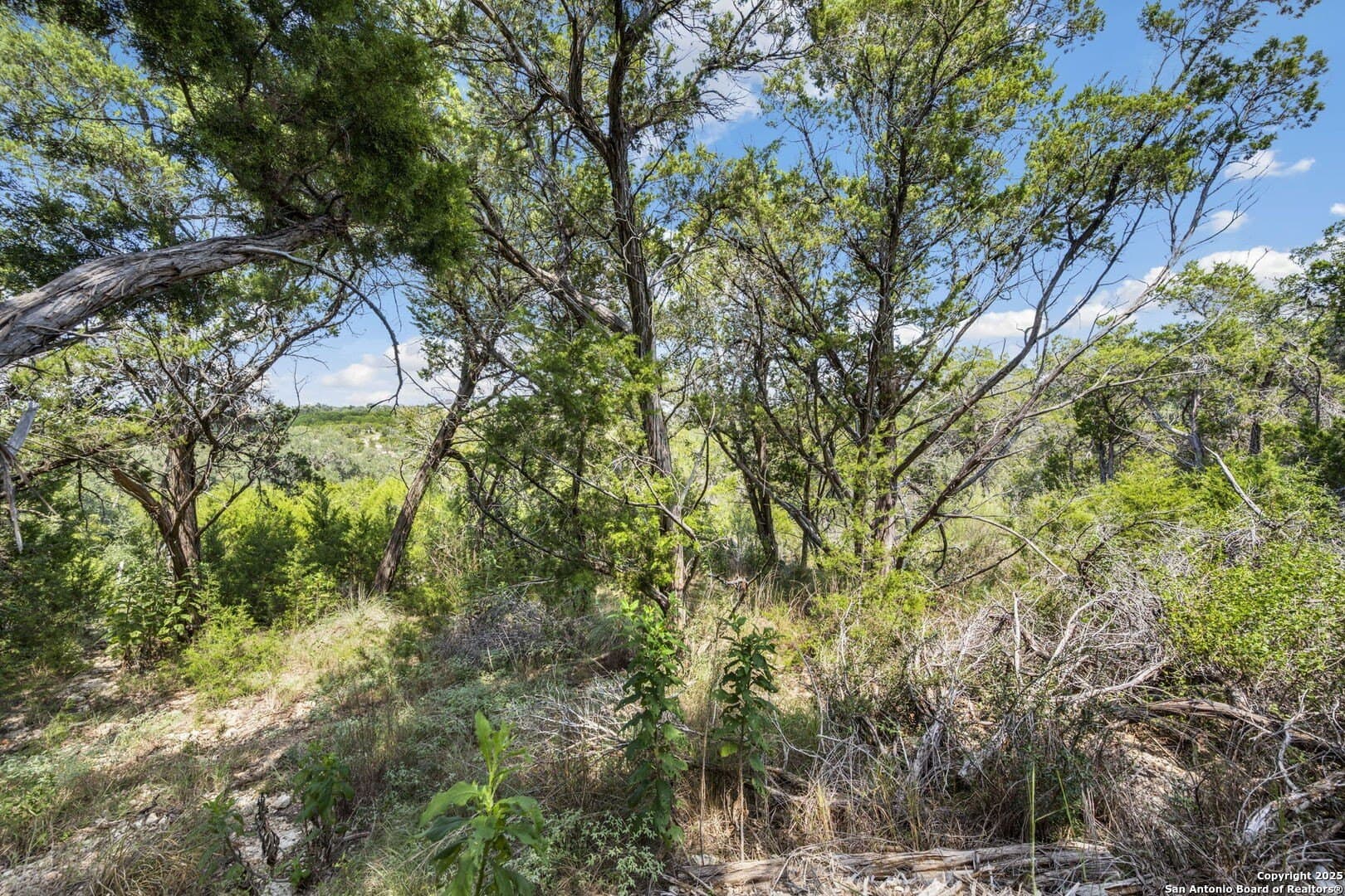 1.83 acres in Comal County - photo 12