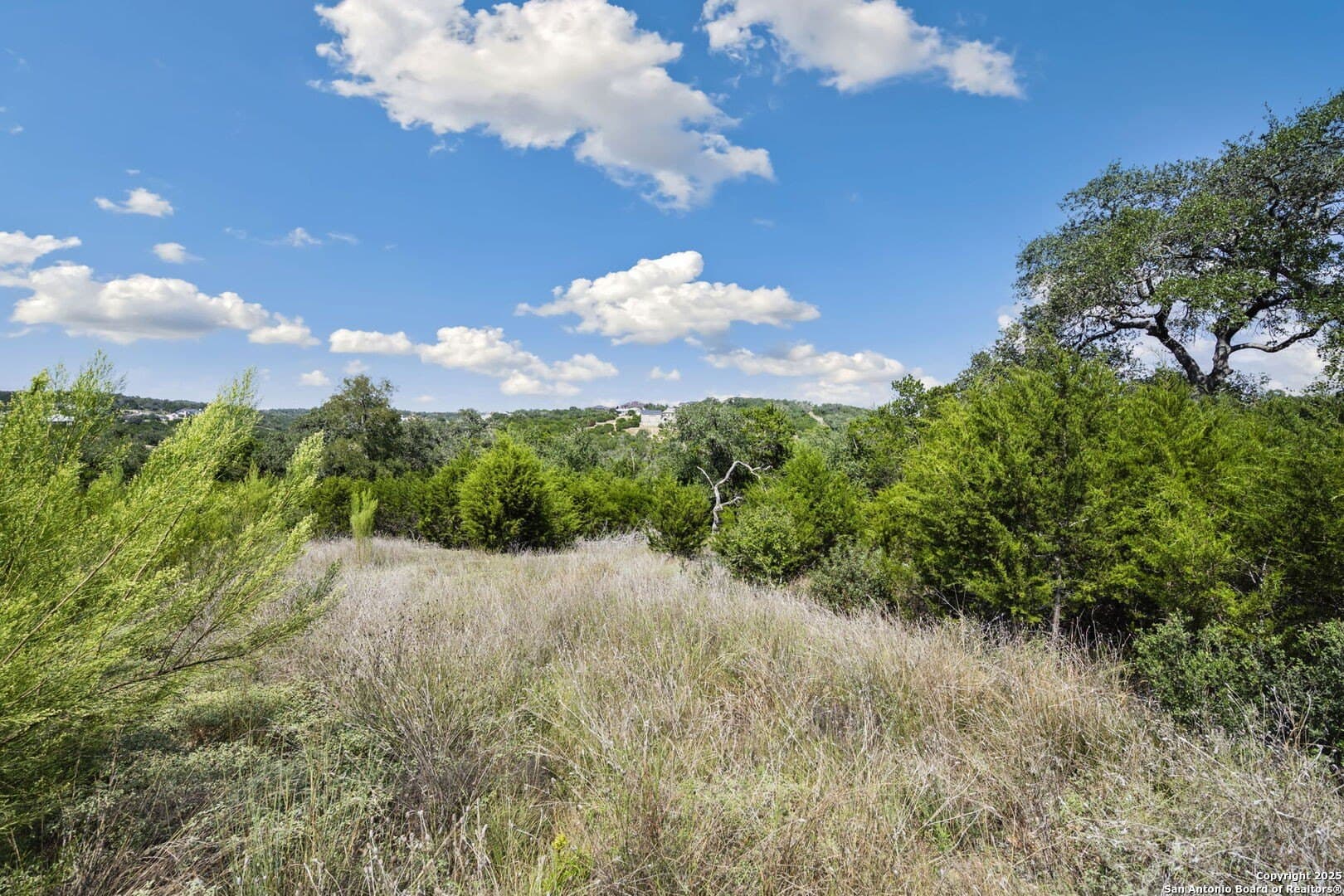 1.83 acres in Comal County - photo 15