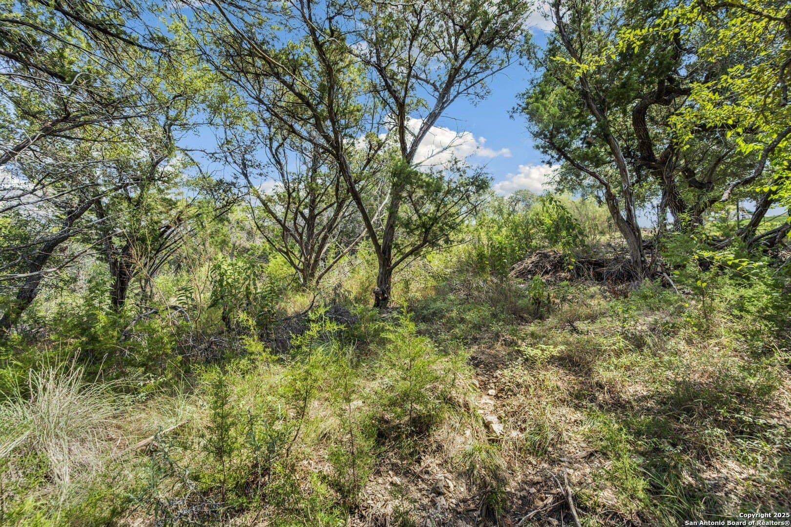1.83 acres in Comal County - photo 11