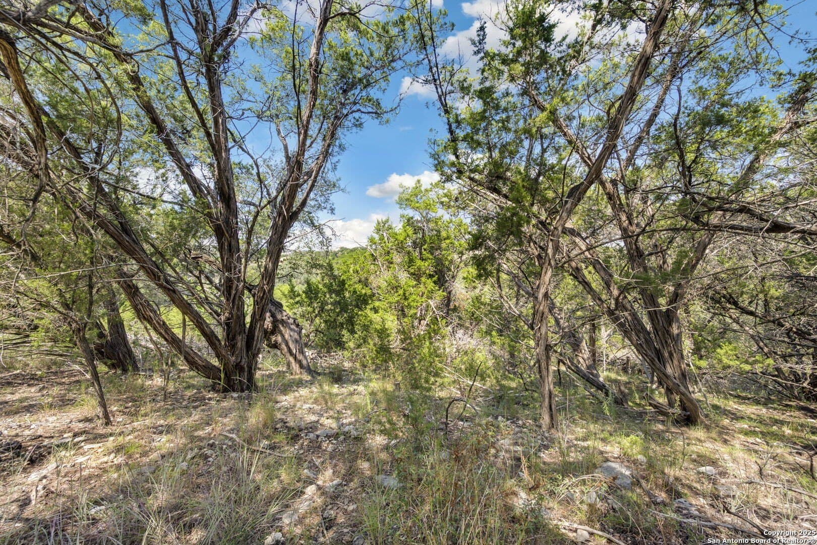 1.83 acres in Comal County - photo 26