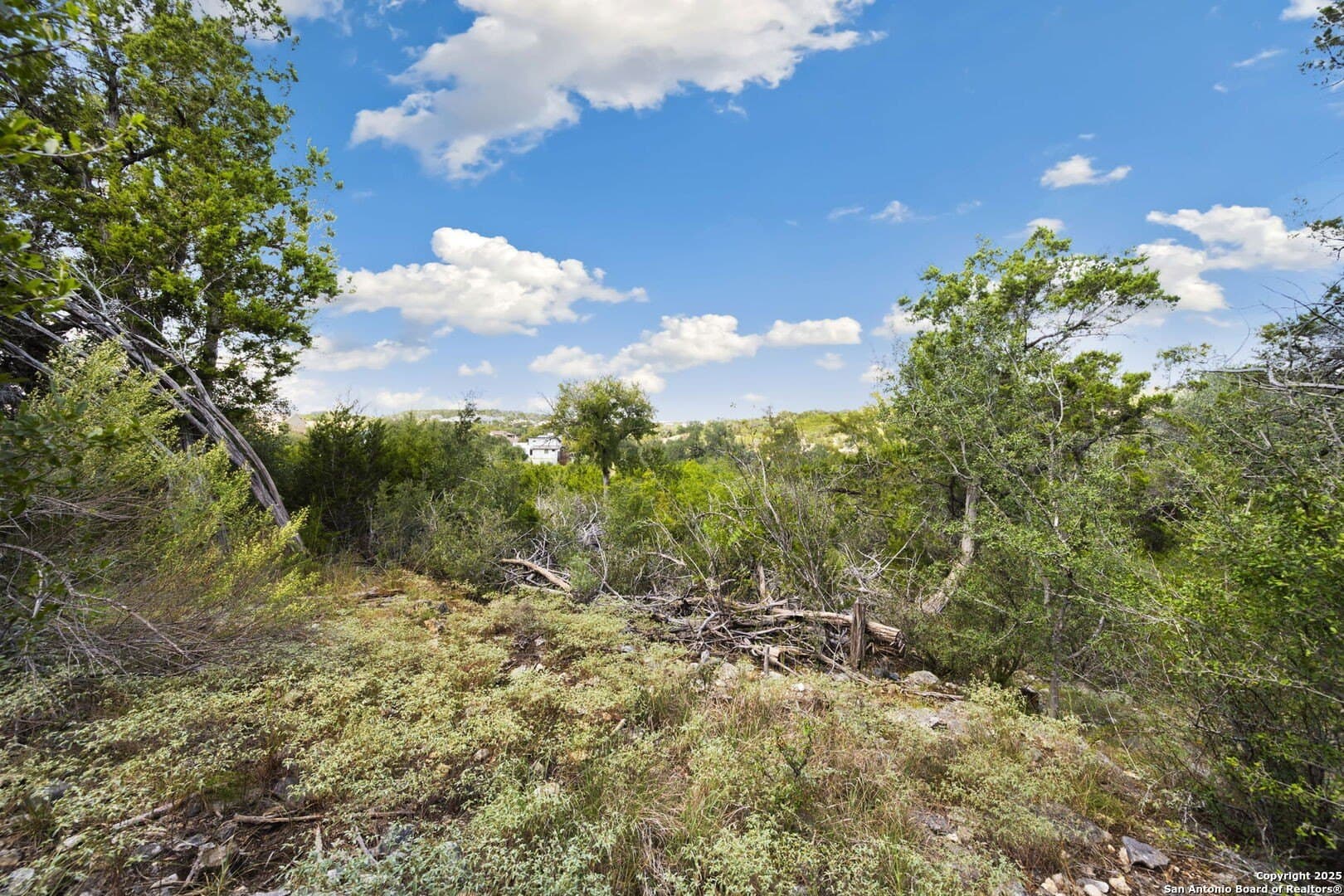 1.83 acres in Comal County - photo 9