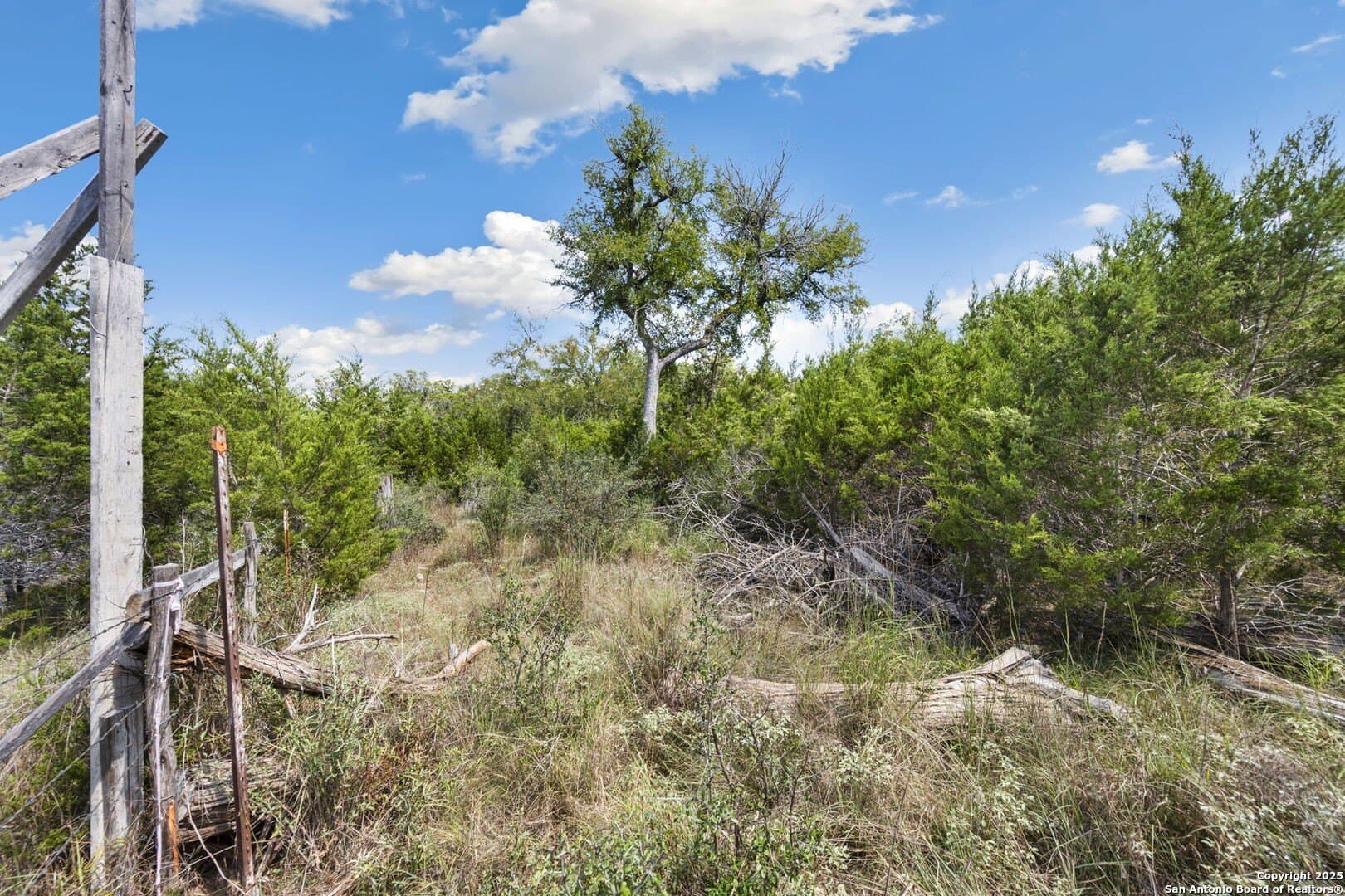 1.83 acres in Comal County - photo 16