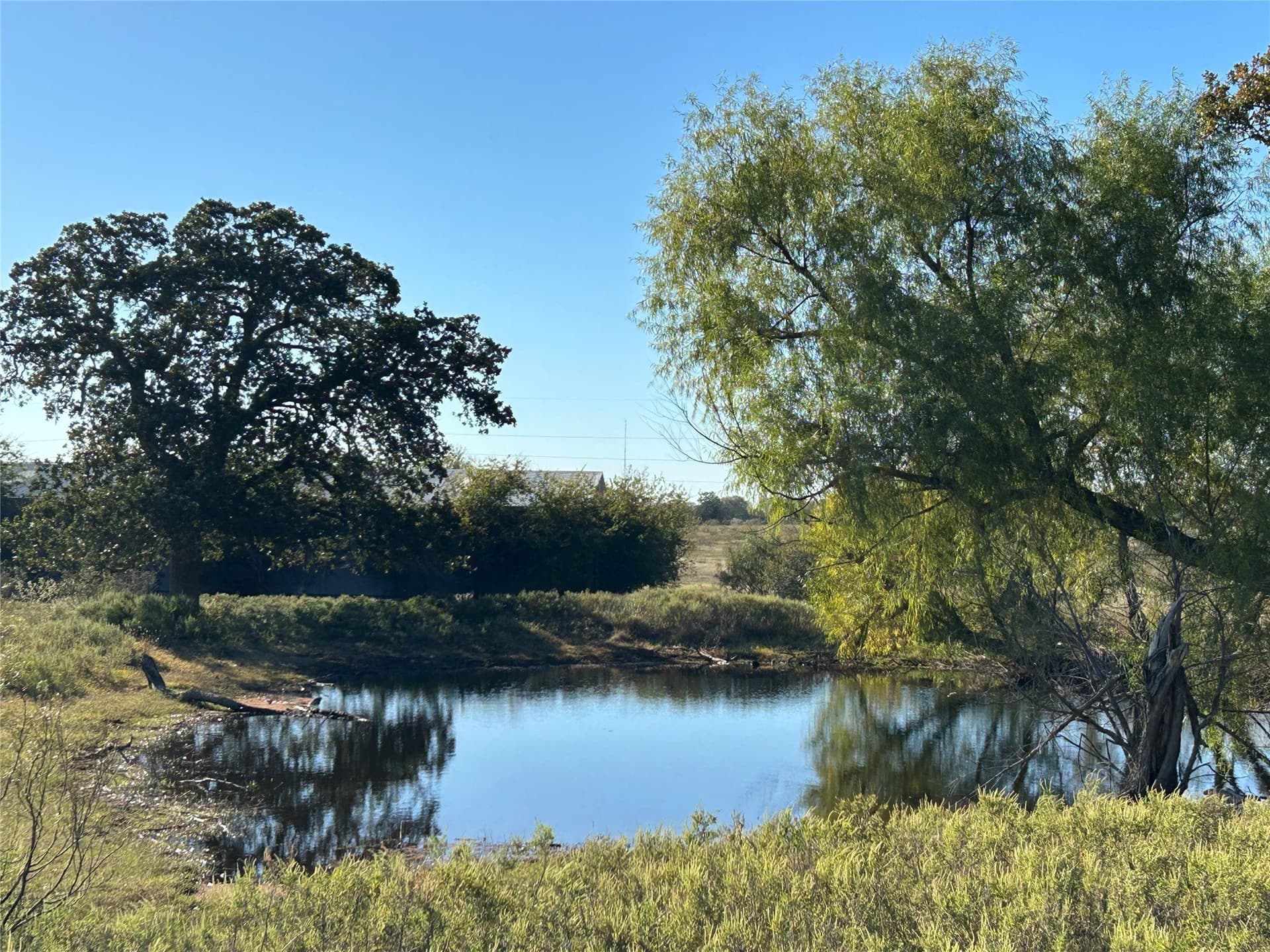 182 acres in Wise County gallery image 2