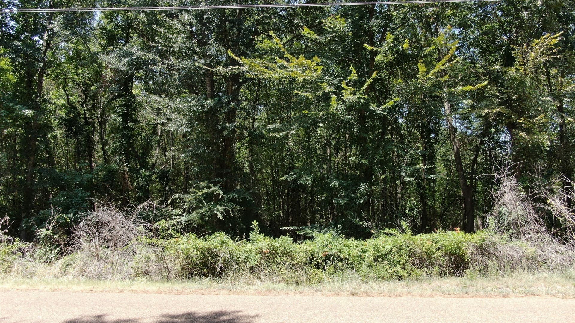 4.79 acres in Henderson County - photo 15
