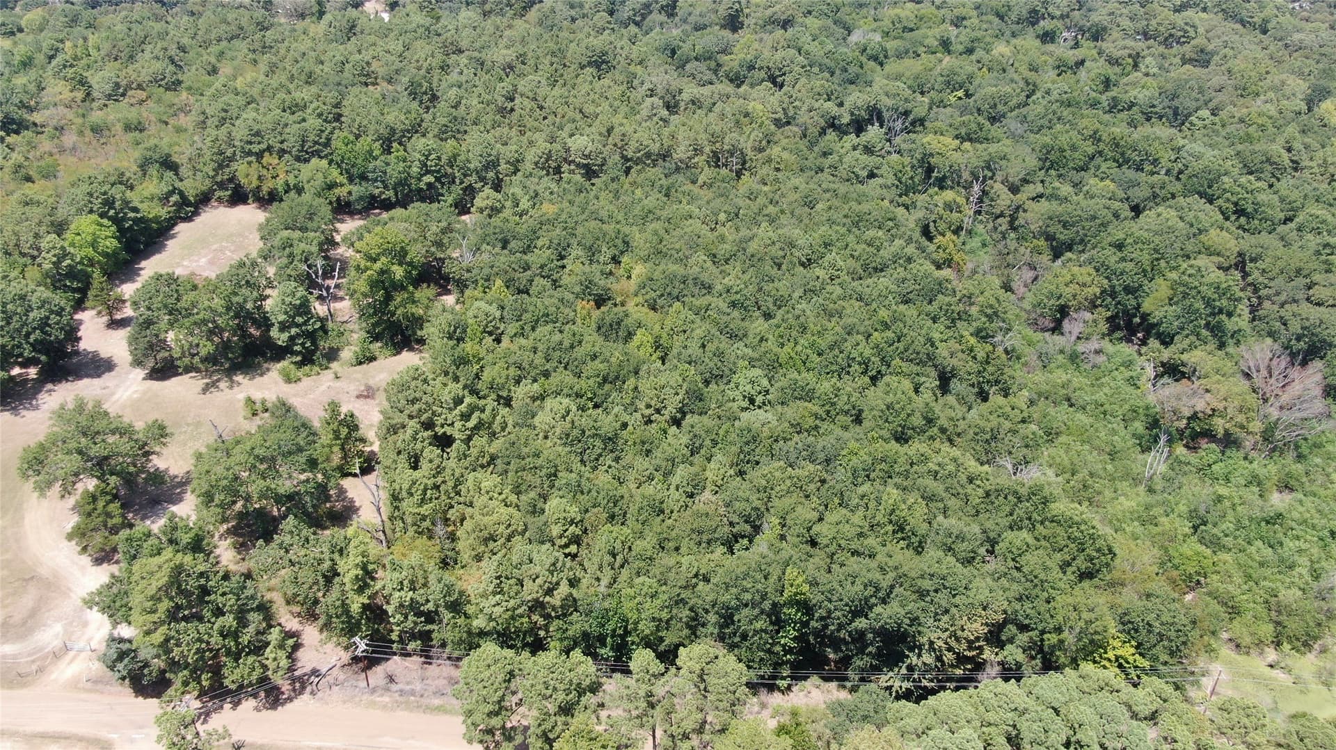 4.79 acres in Henderson County - photo 6