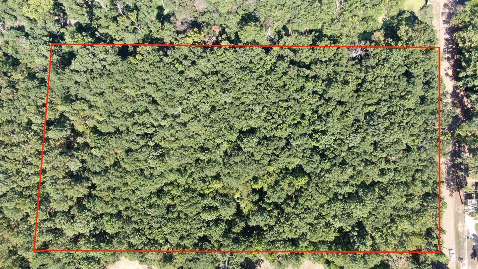 4.79 acres in Henderson County - photo 4