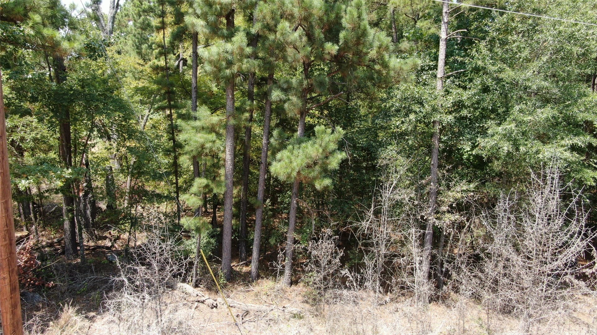 4.79 acres in Henderson County - photo 14
