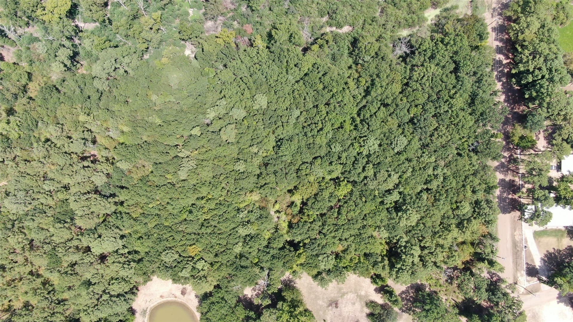 4.79 acres in Henderson County - photo 8