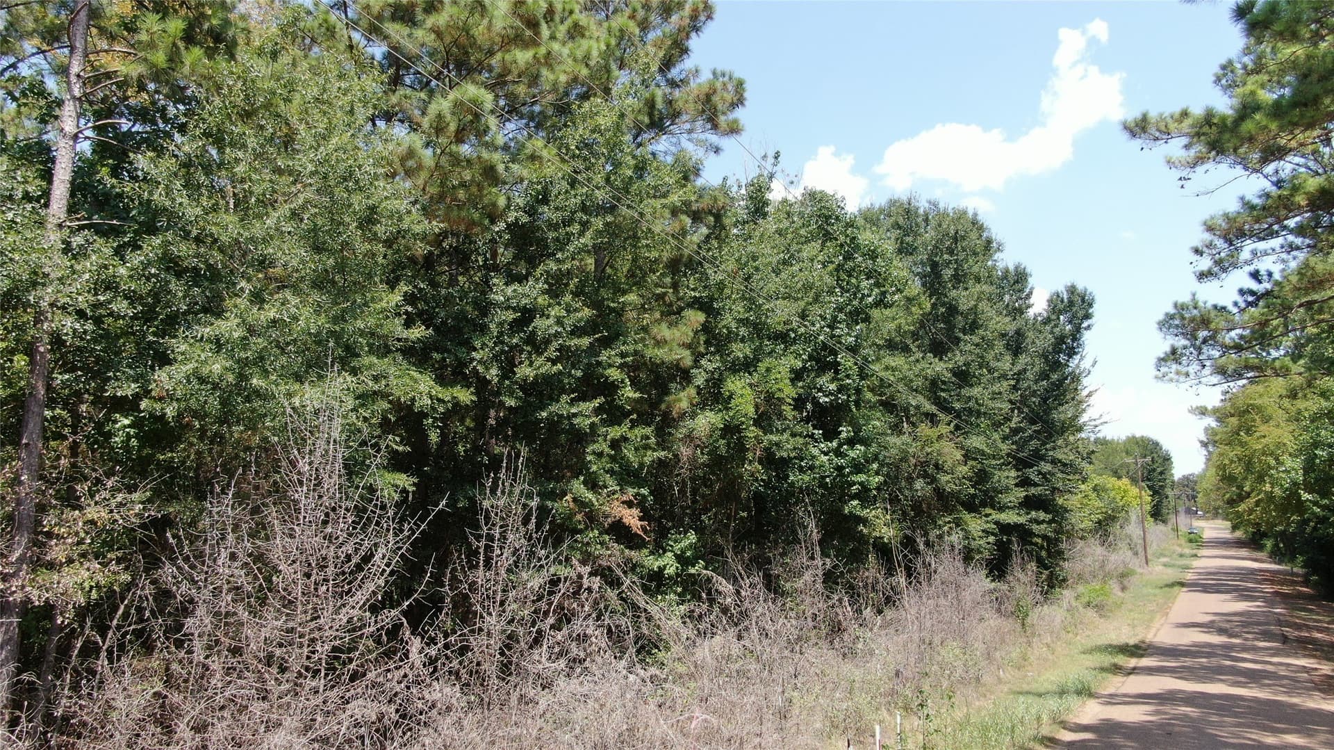 4.79 acres in Henderson County - photo 13