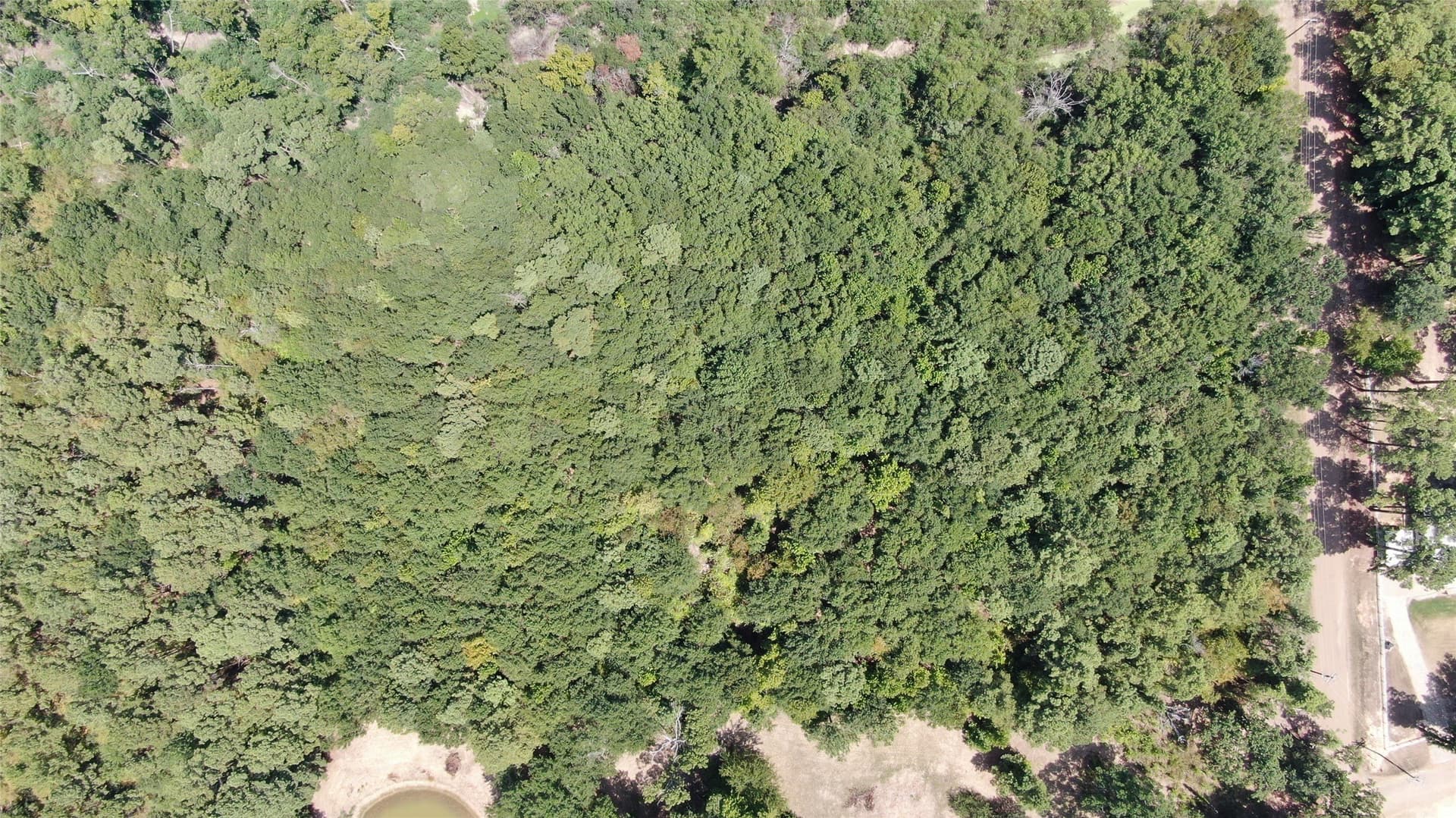 4.79 acres in Henderson County - photo 9