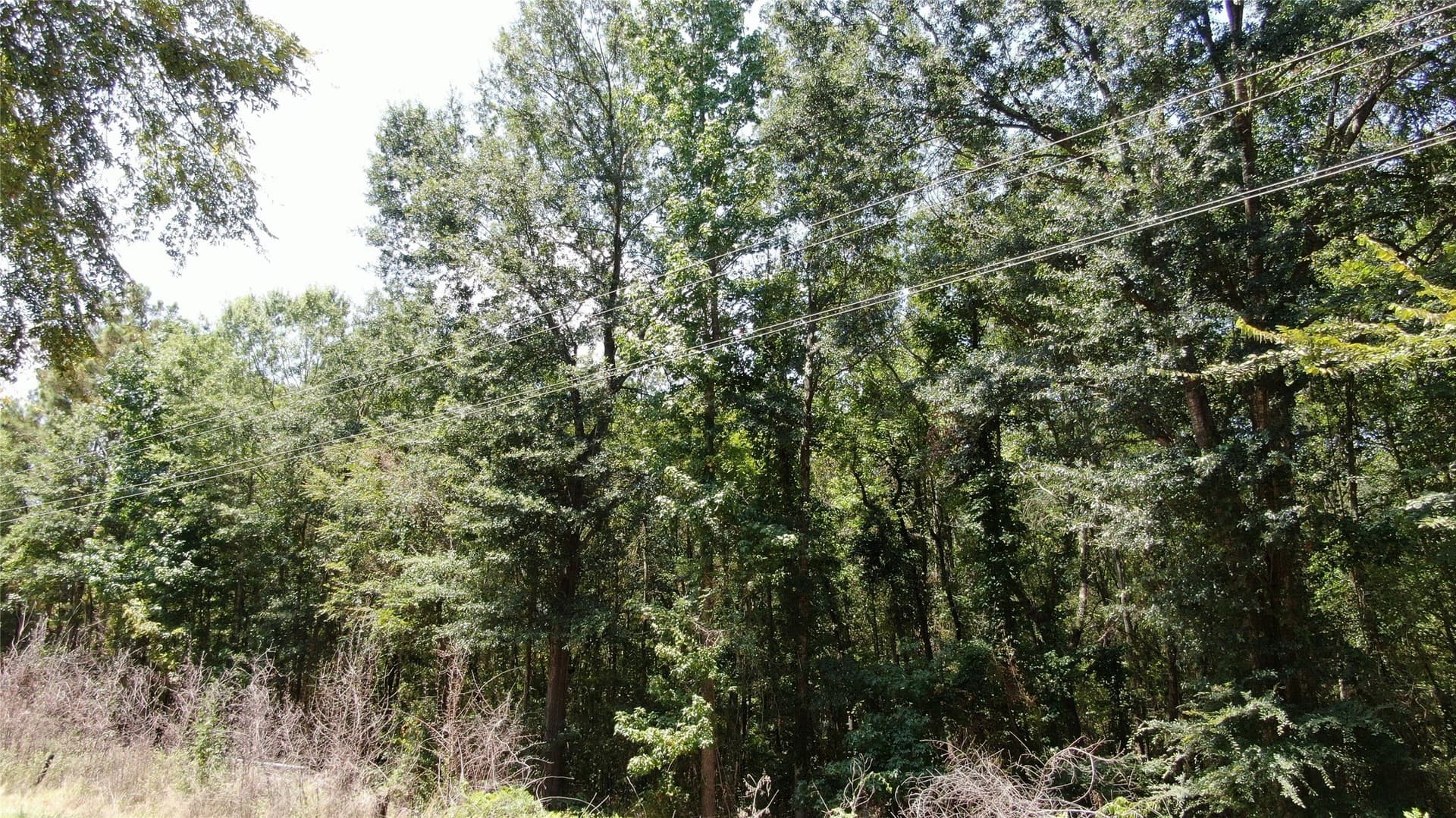4.79 acres in Henderson County - photo 16